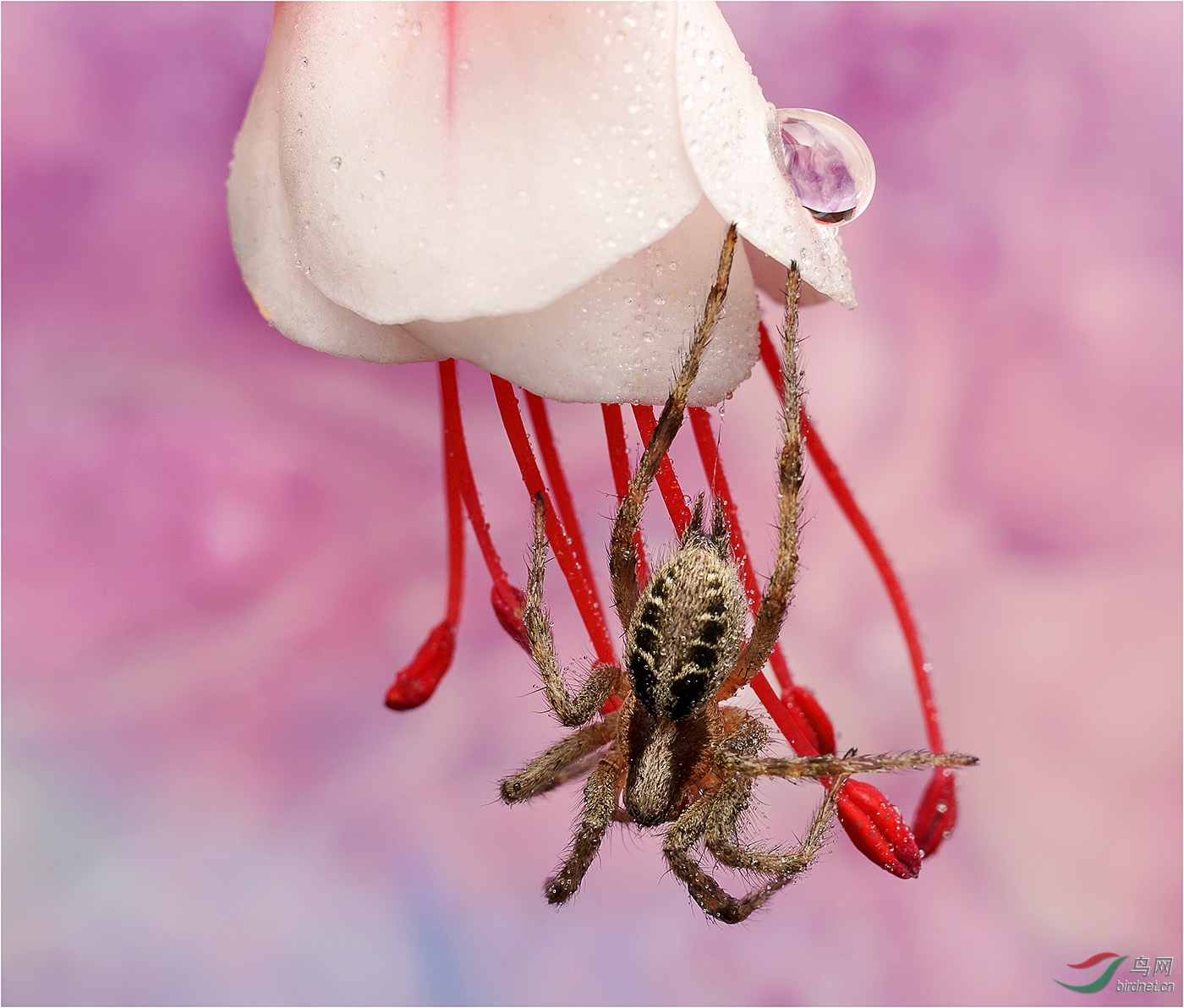 ����֩��