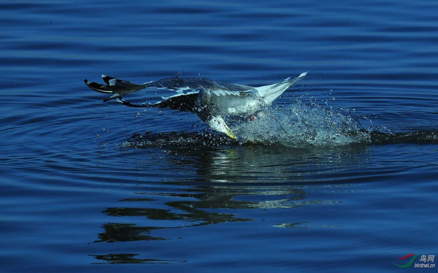 DSC_3775.JPG
