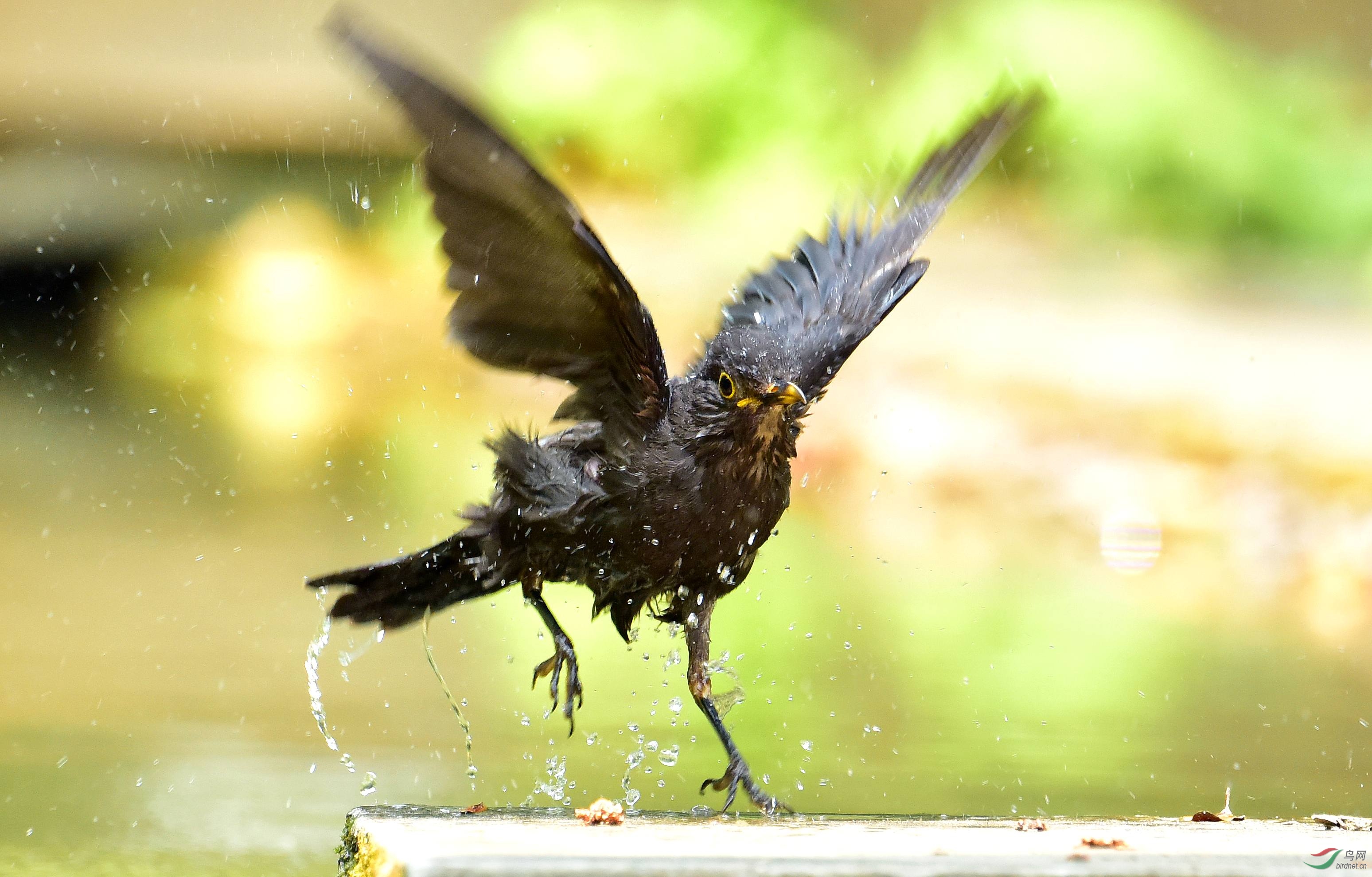 DSC_5647_conew3.jpg