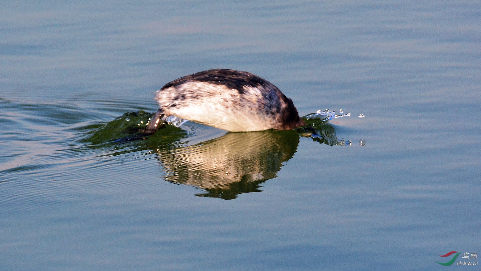 DSC_6253.JPG