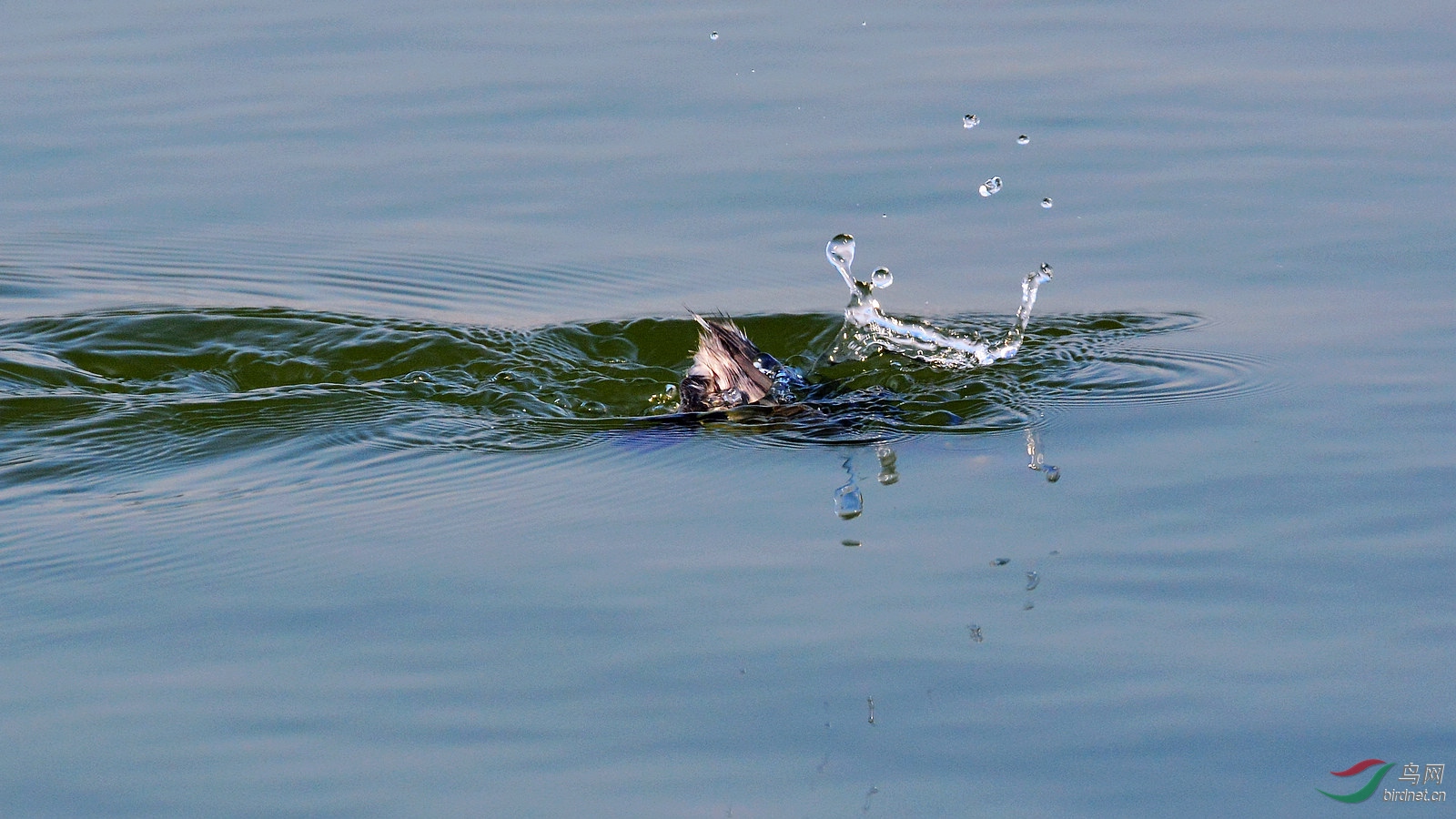 DSC_6254.JPG