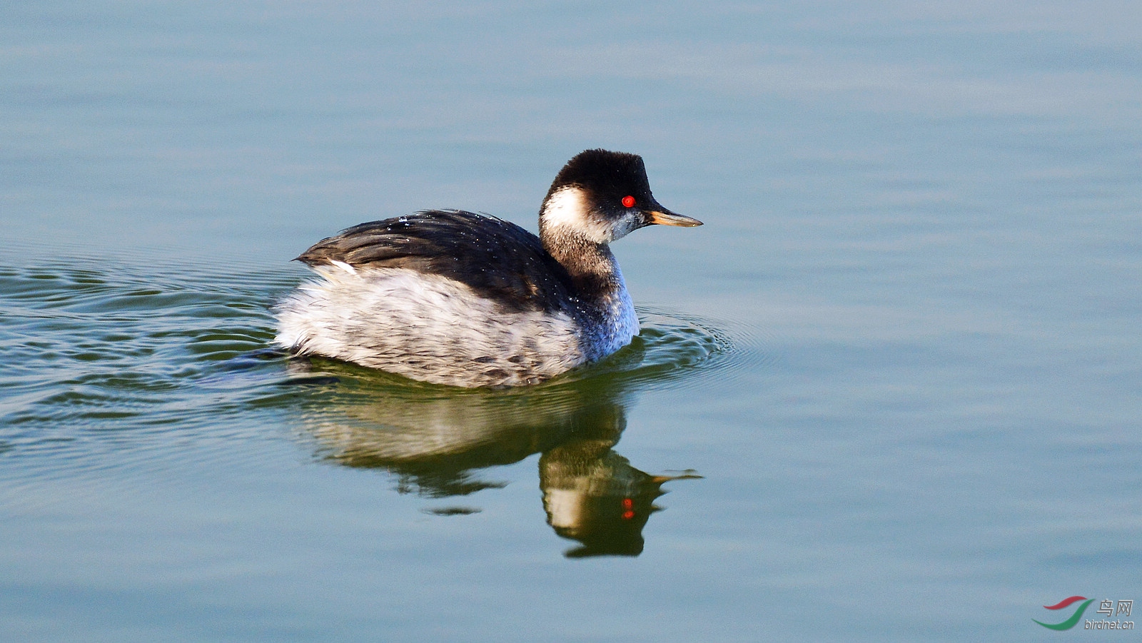 DSC_6407.JPG
