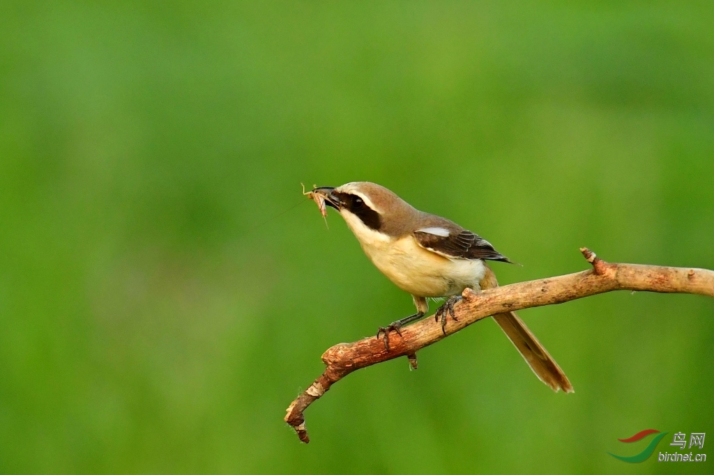DSC_7006_��ͼ��.jpg