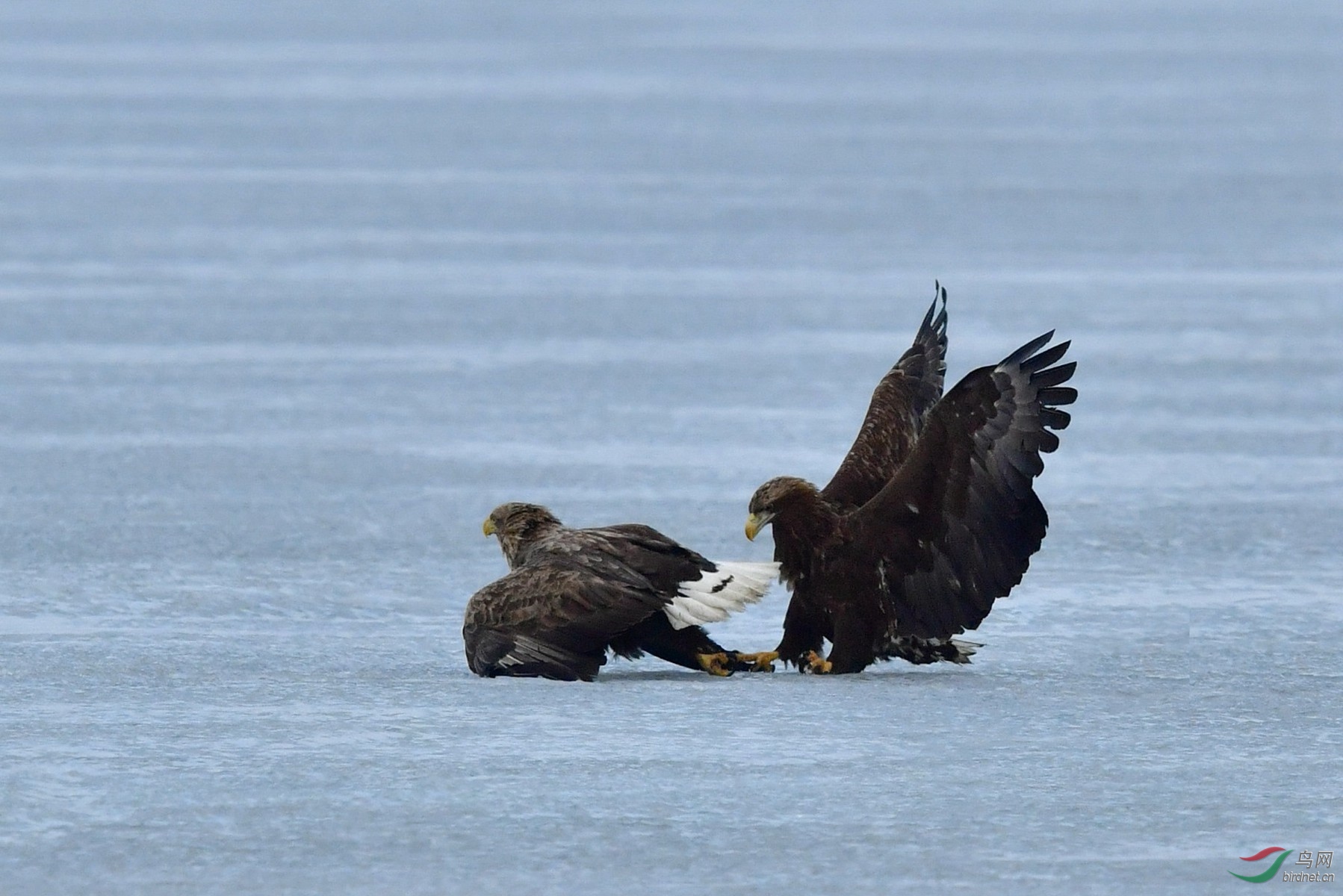 IYK_9827 ����_����.jpg