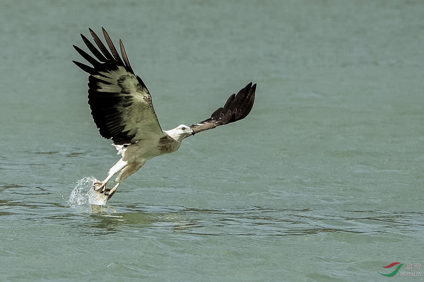 _DSC0273_20687a.jpg