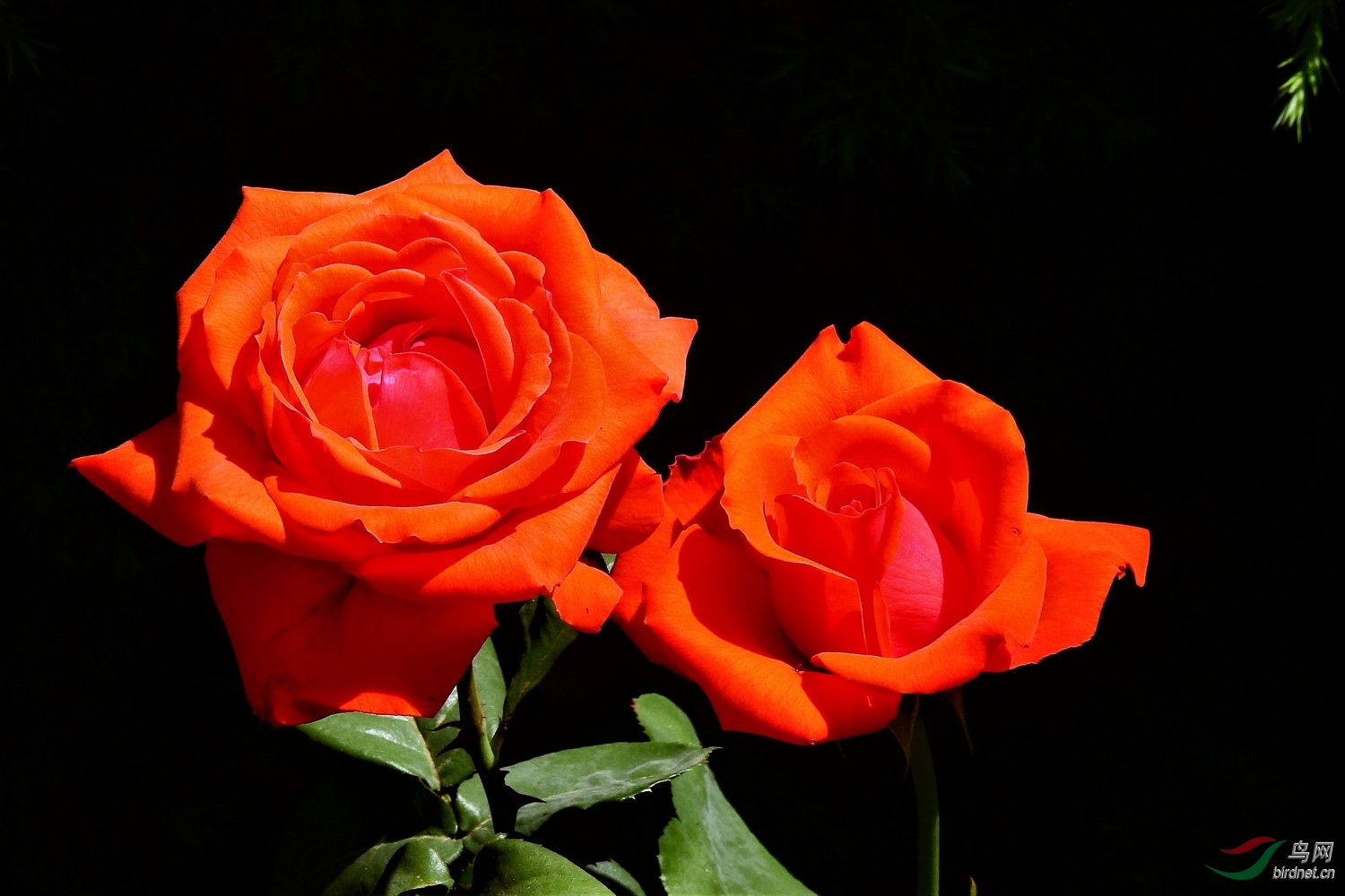 DSCN1611.JPG