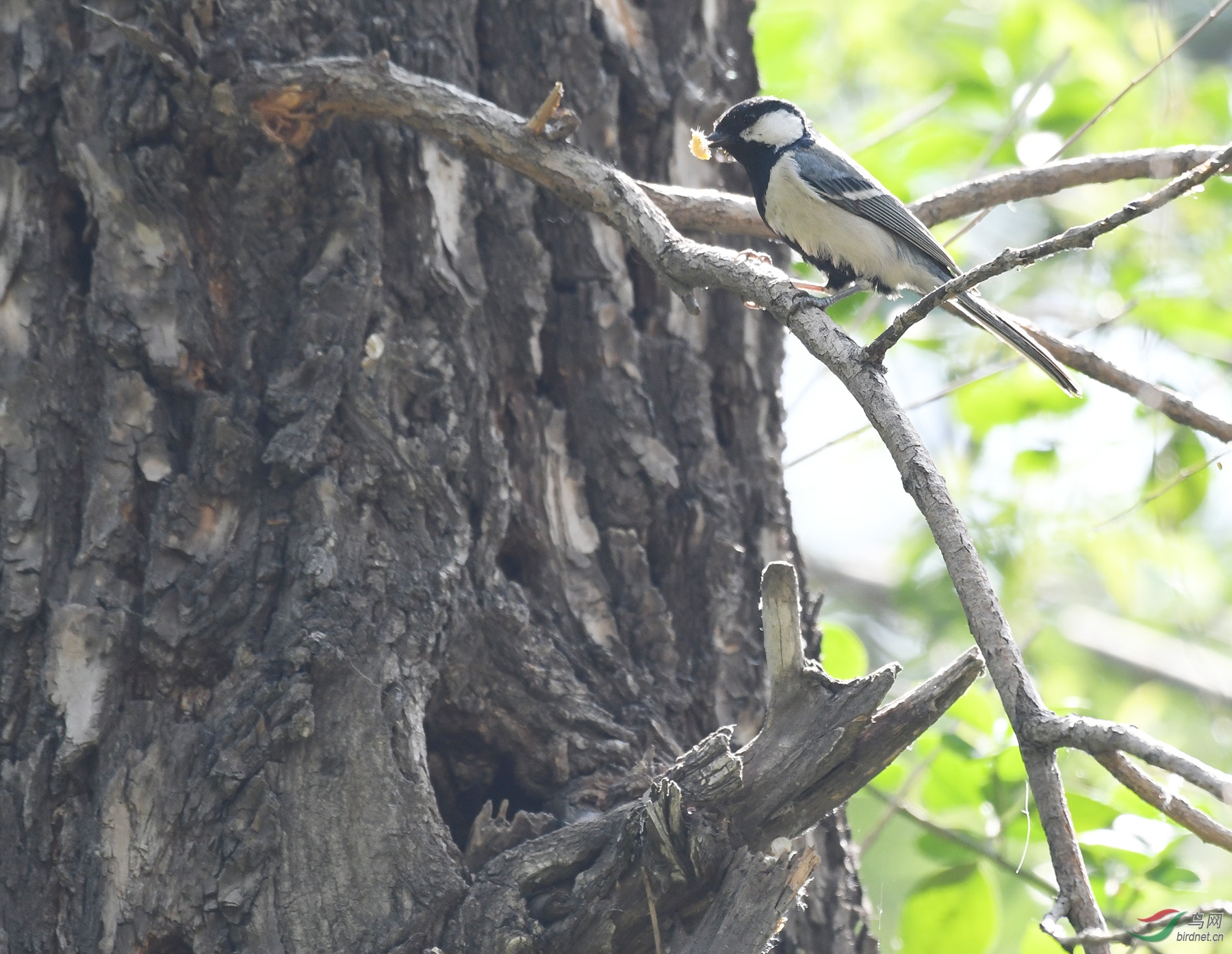 ������Ӱ 3025����.jpg