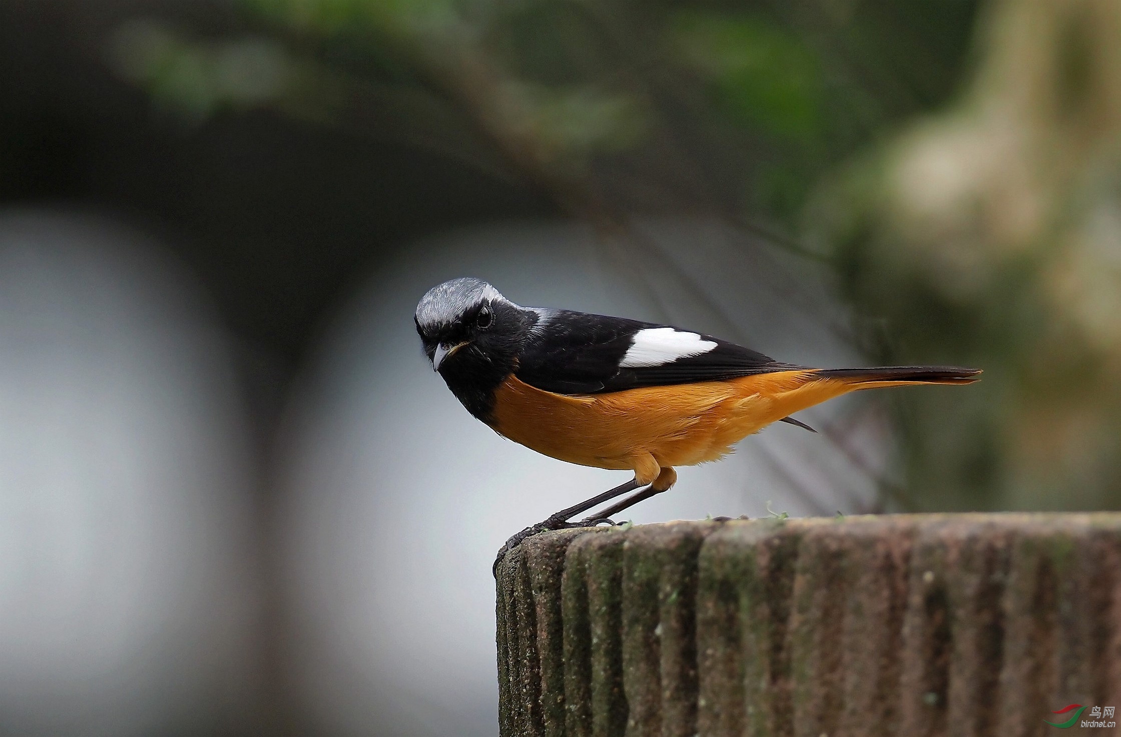 PA224194_����_DxO (����).jpg