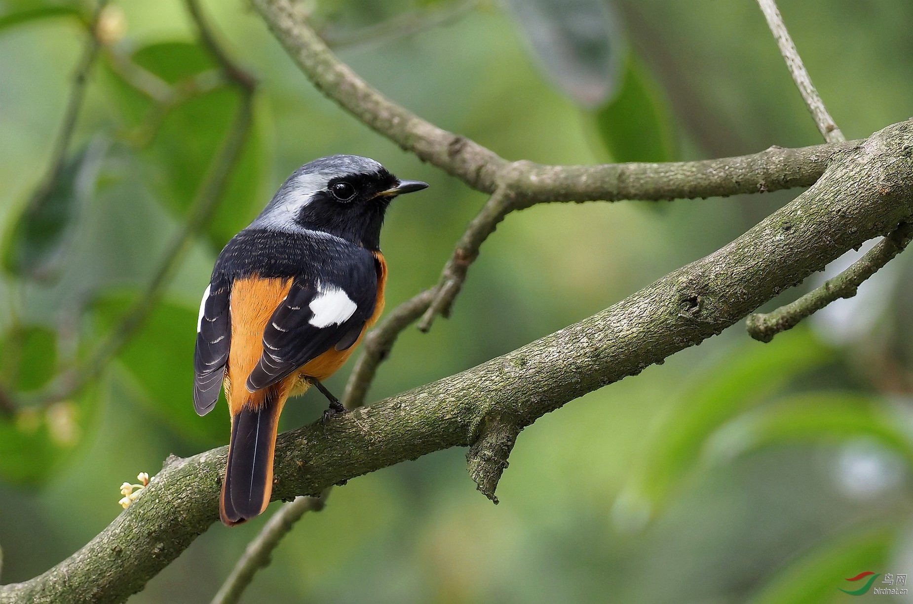 PA223853_����_DxO (����).jpg