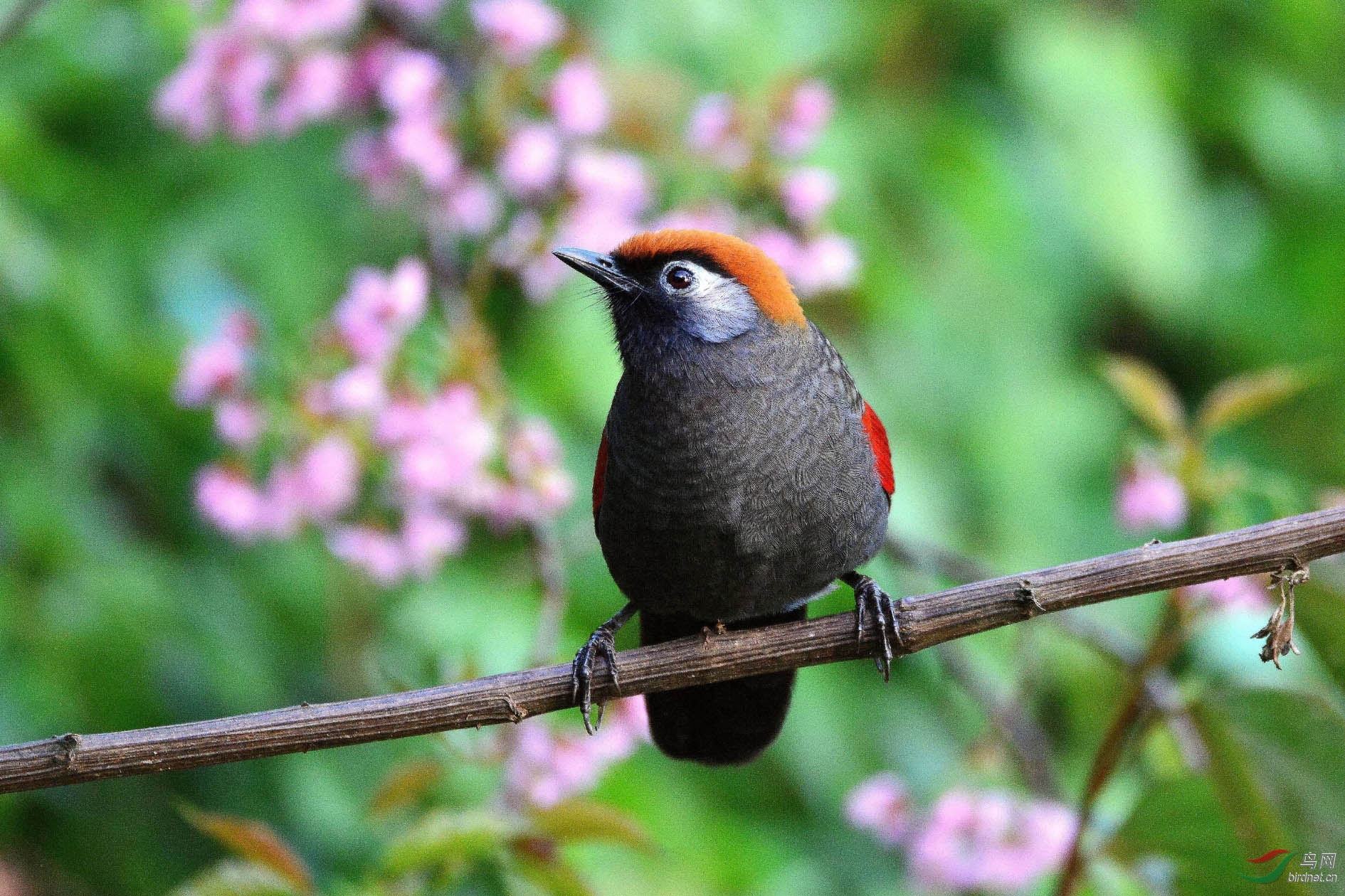 DSC_2357.JPG