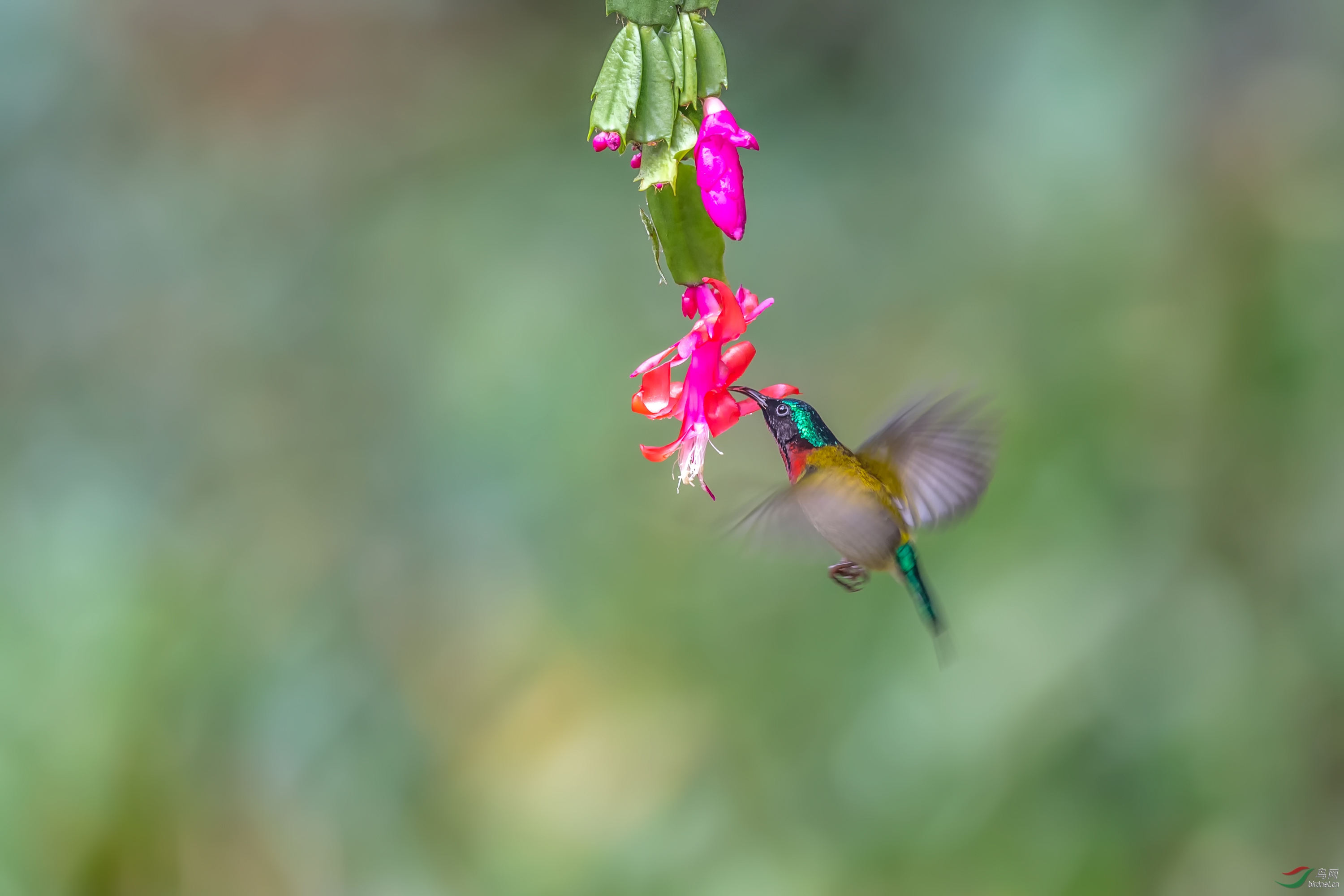 _DSC9824_��ͼ��_��ͼ��.jpg