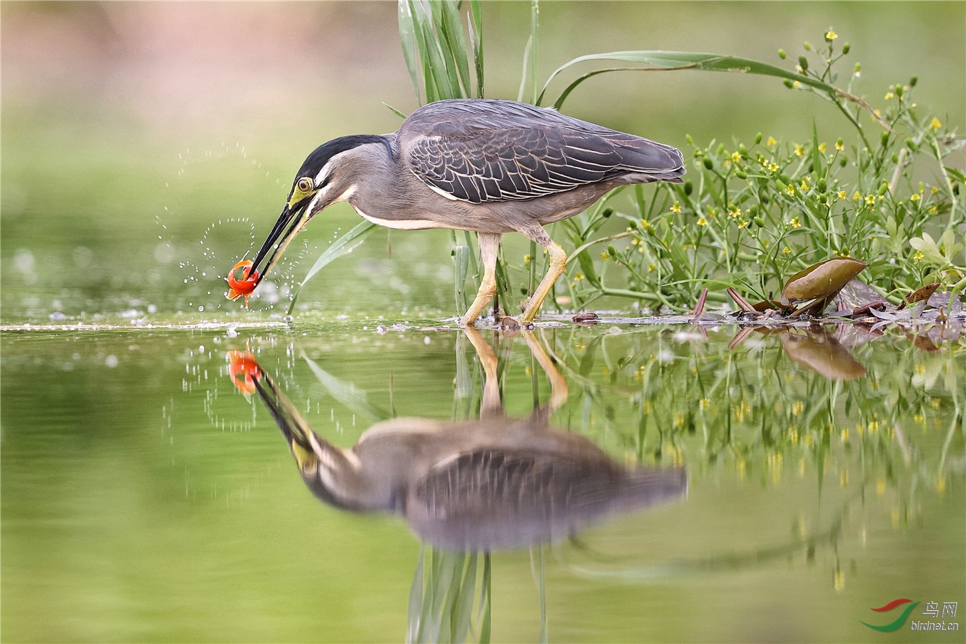 ΢��ͼƬ_20200516075317.jpg