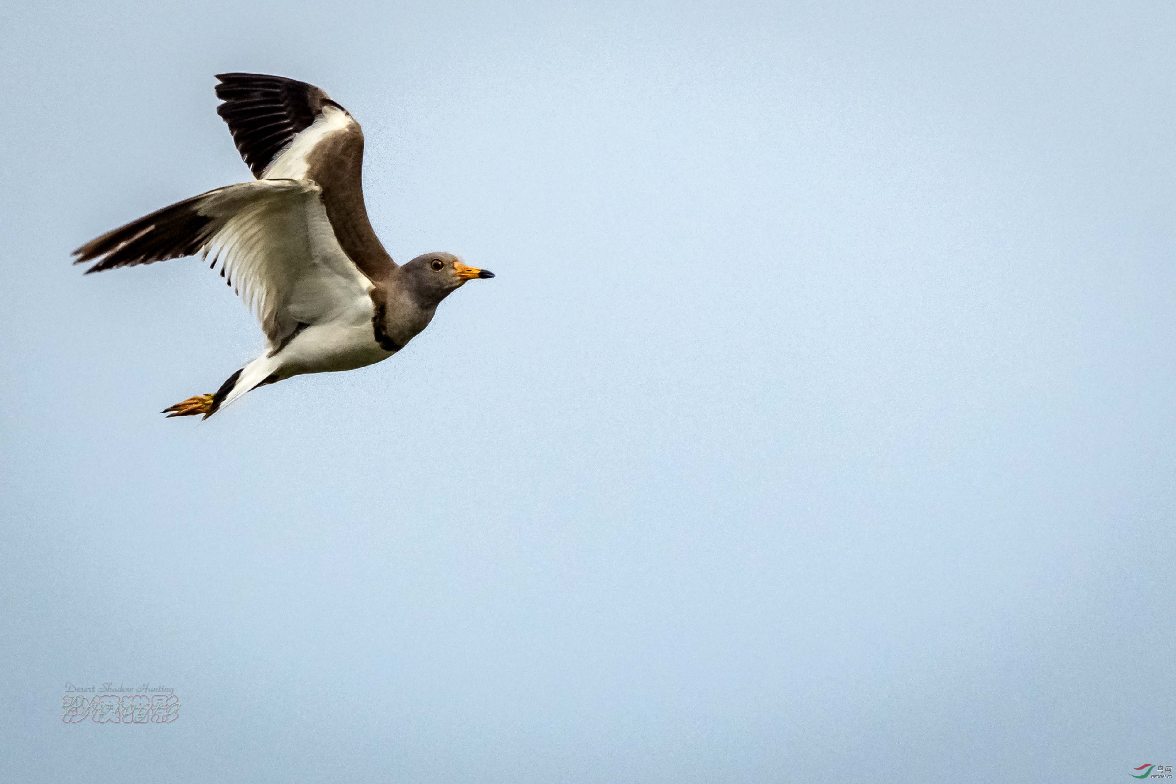 20-14���῵��չ��߷ɡ������� (3).jpg