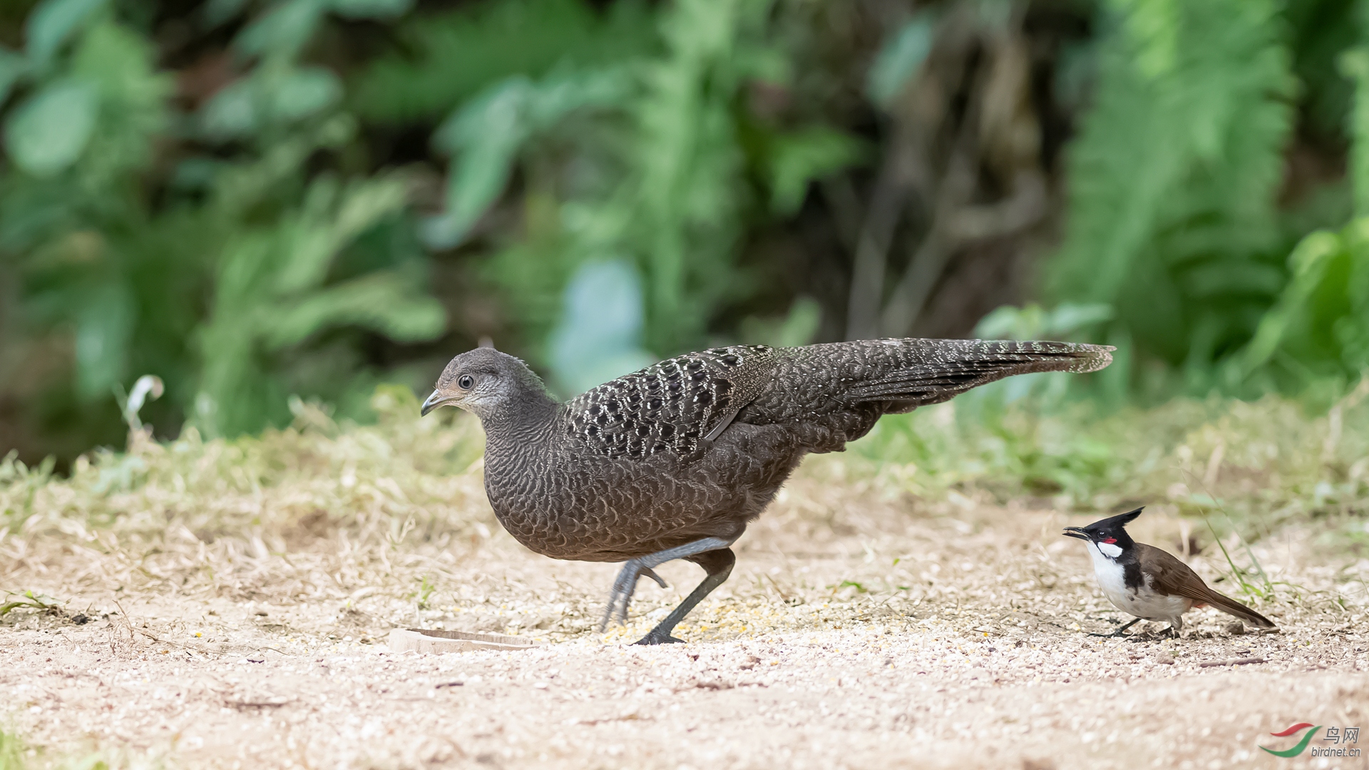 DSC_7210-1.jpg