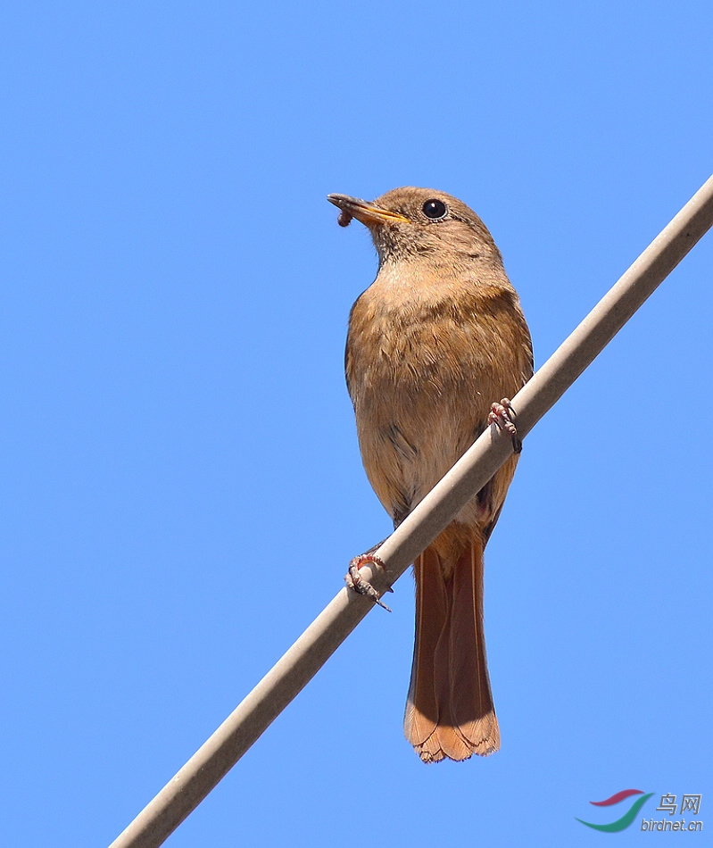 DSC_8414.JPG