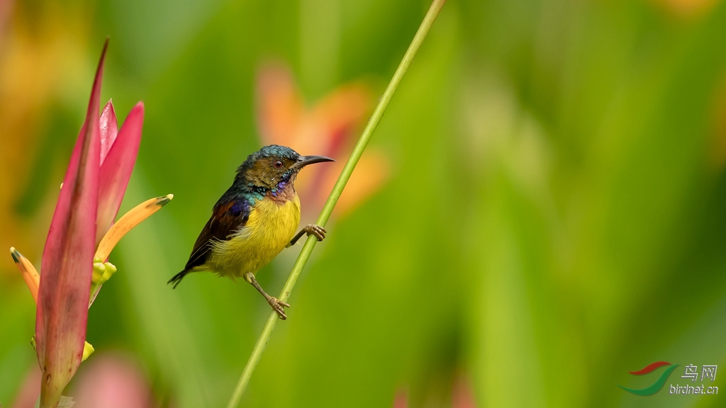 _V6I0613 - ����.jpg