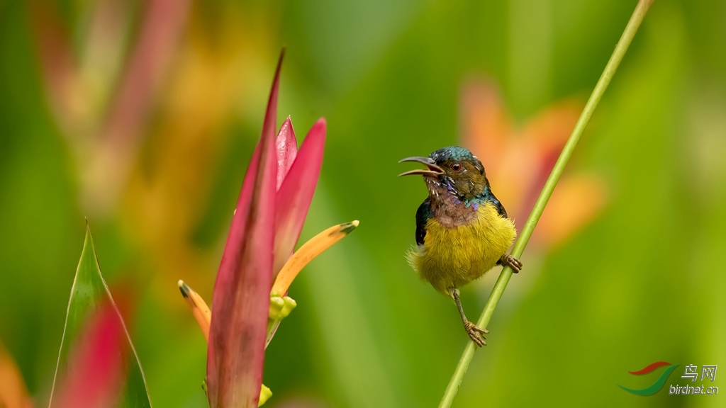 _V6I0617 - ����.jpg