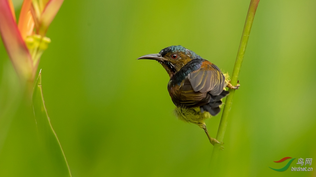 _V6I0866 - ����.jpg