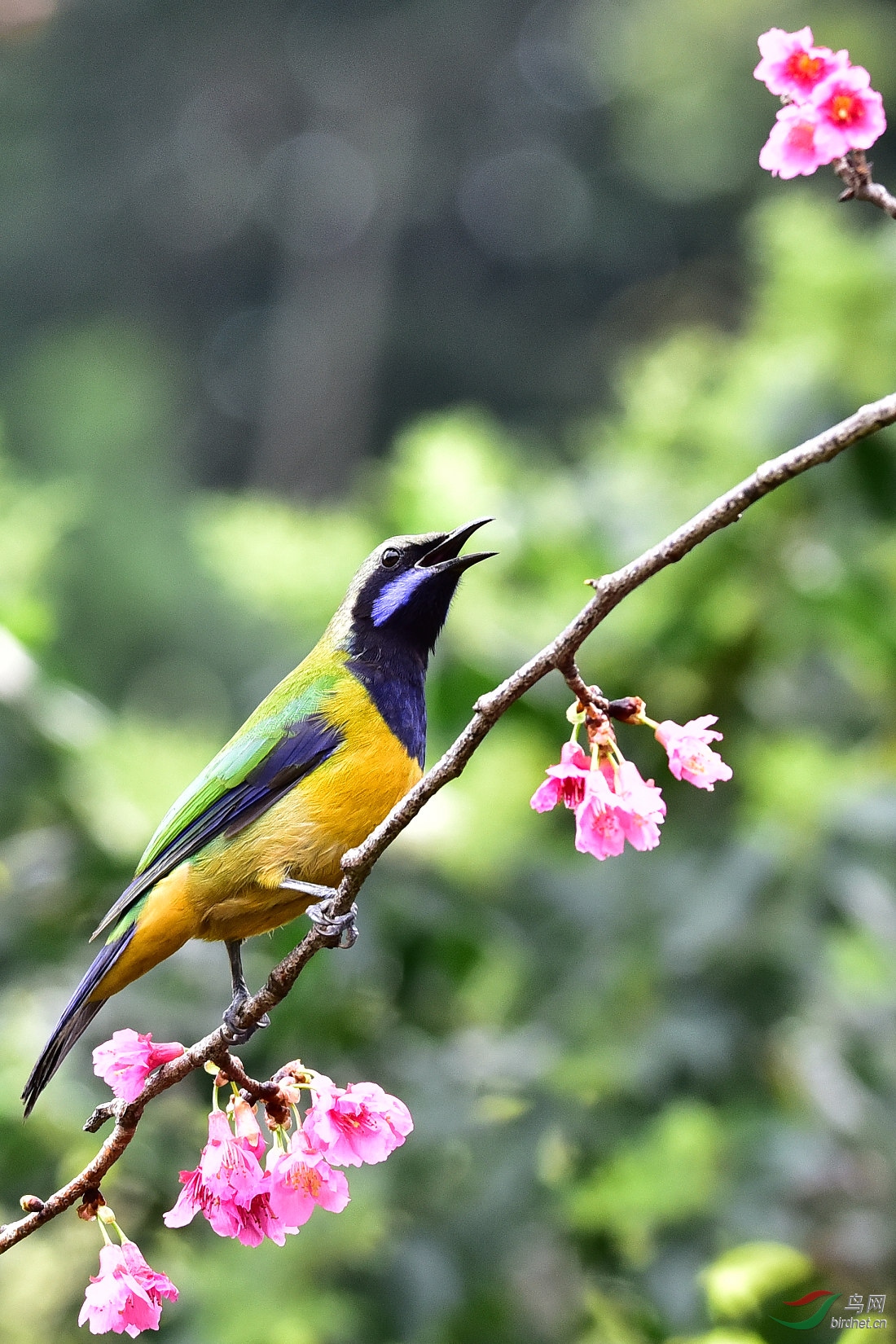 DSC_1165.JPG