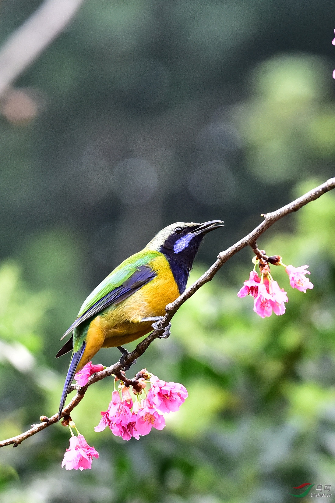 DSC_1166.JPG