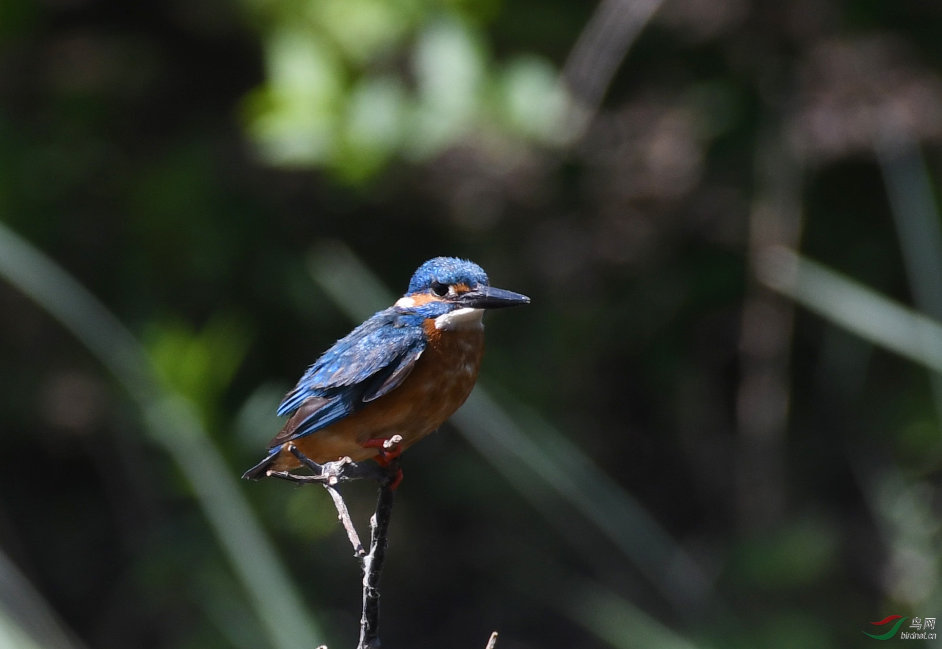 ������Ӱ 1643����.jpg