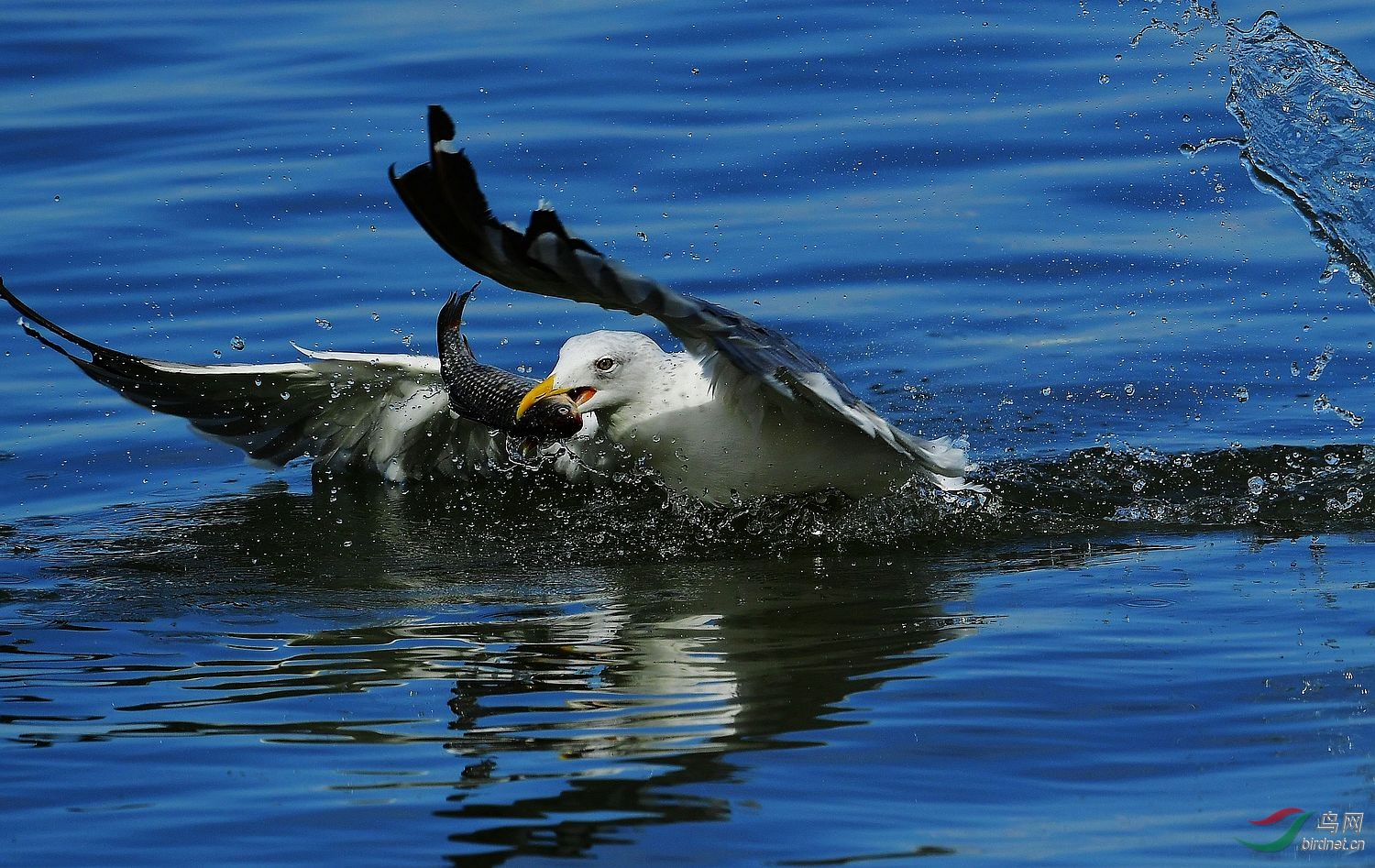 DSC_7648.JPG