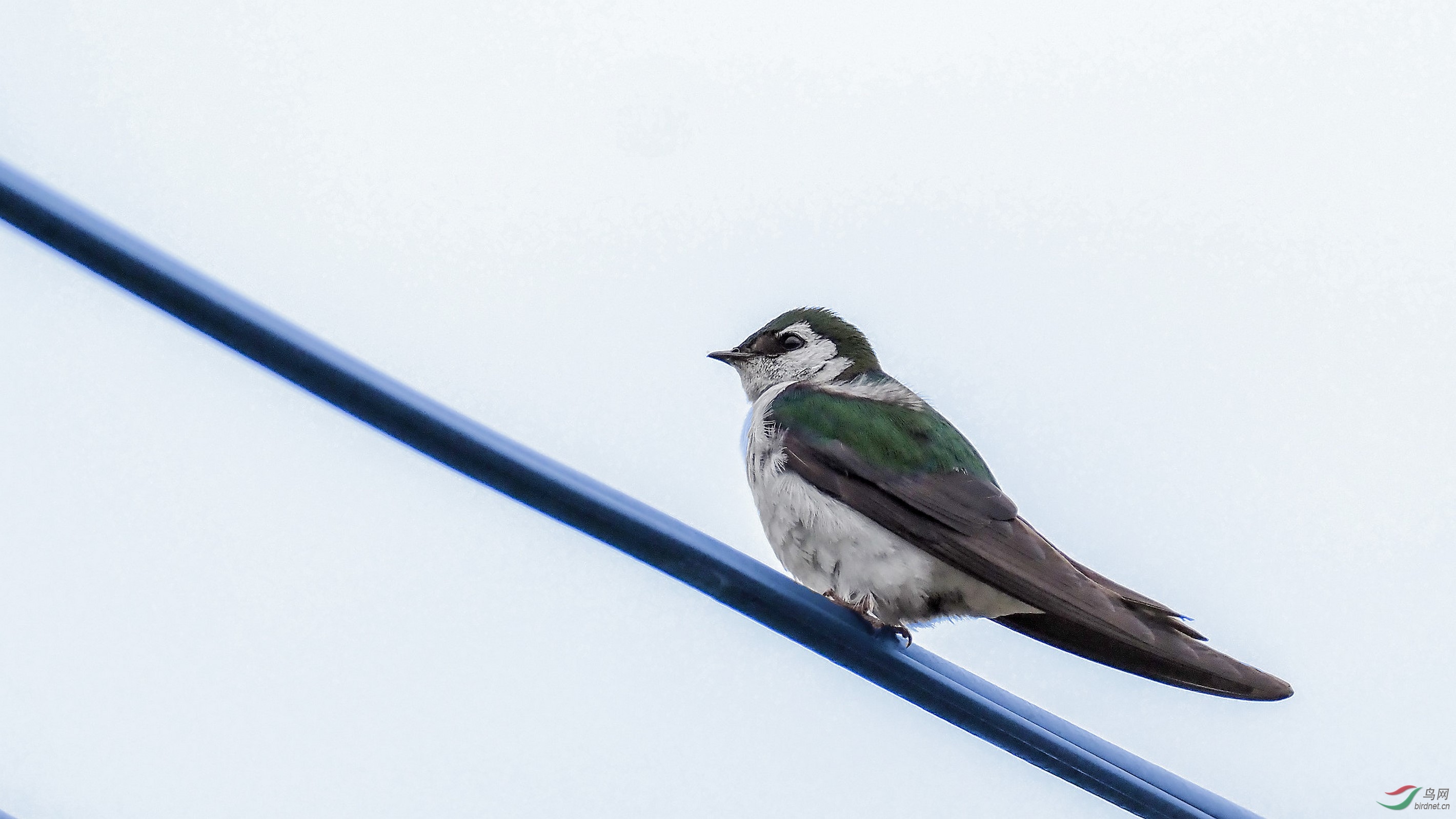 P6070670.jpg1_DxO (����).jpg