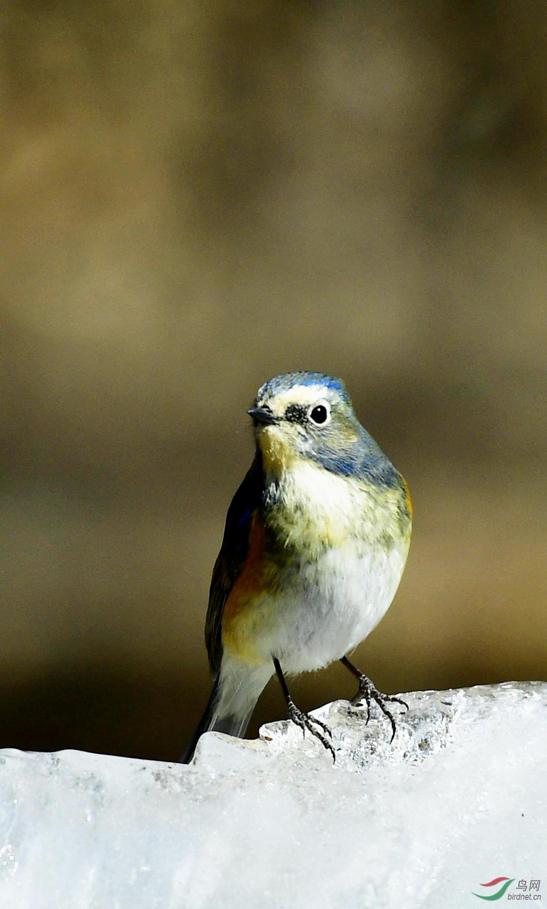 _DSC1176_���� (2).jpg