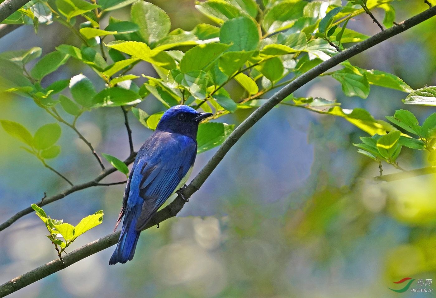 DSC01270----.jpg