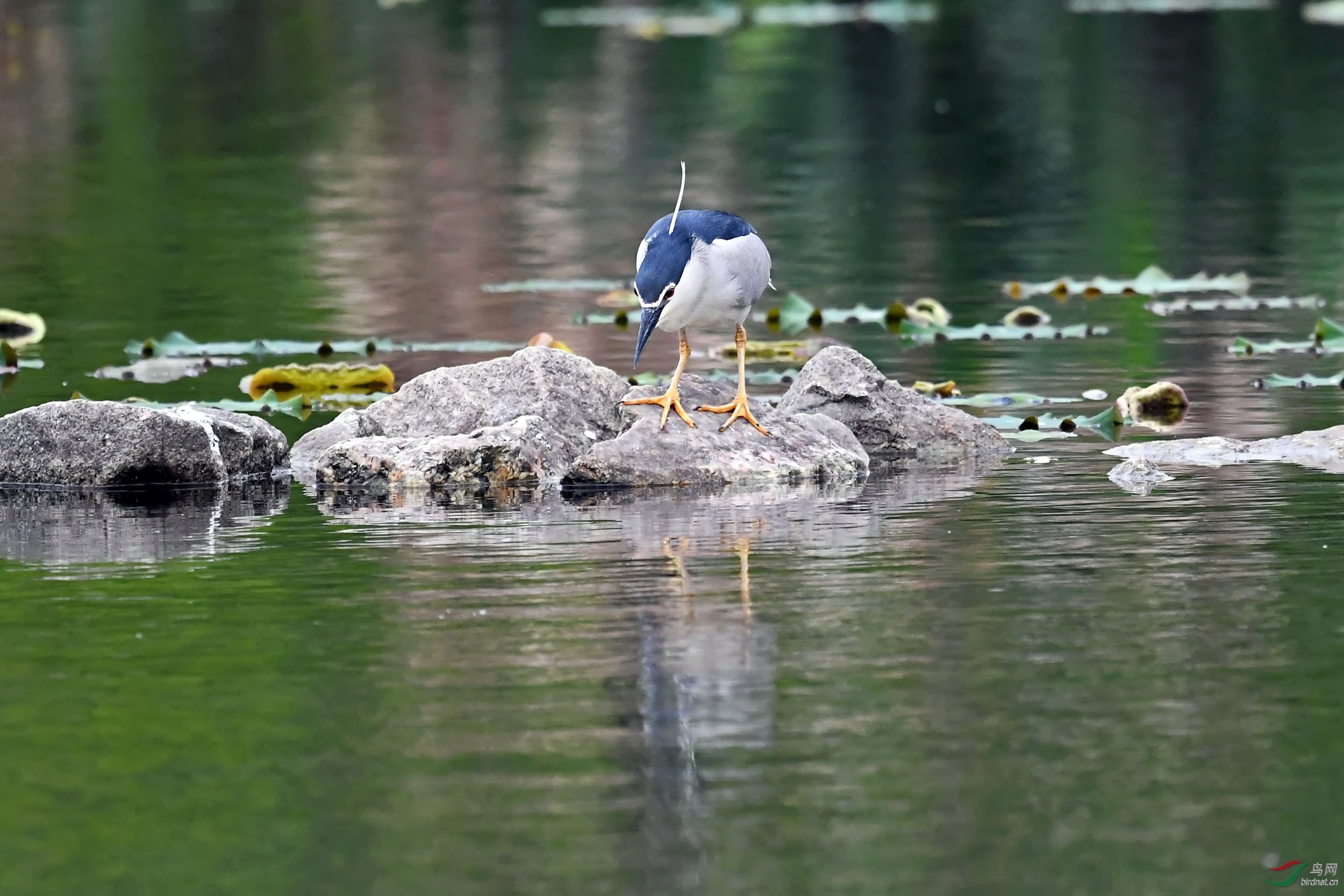 DSC_5364.jpg