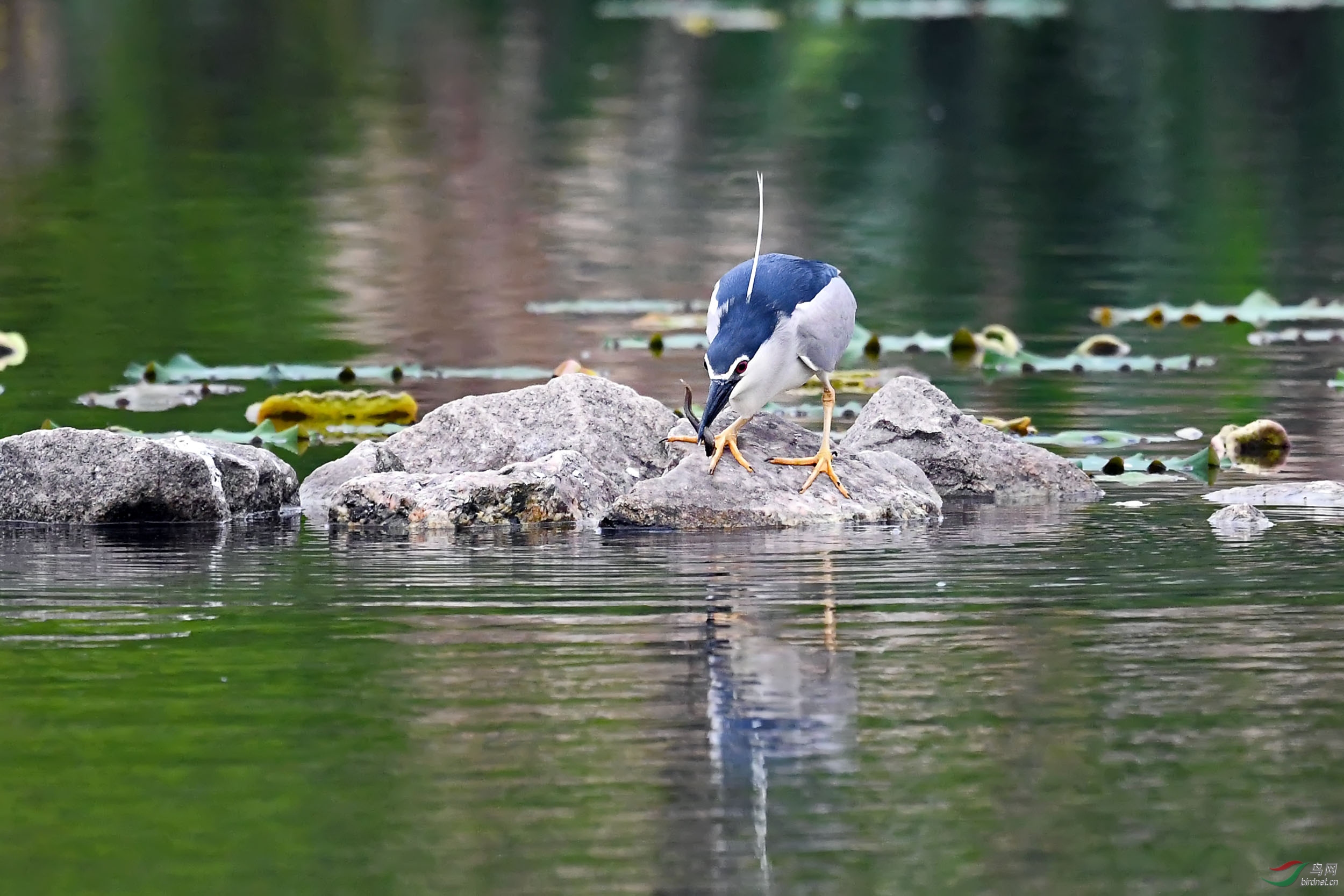 DSC_5386.jpg