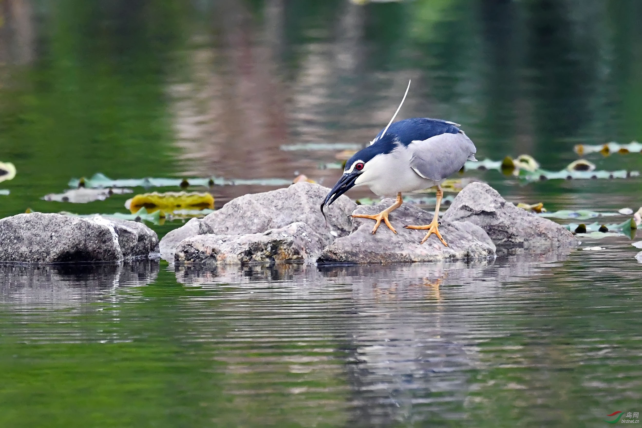DSC_5410.jpg