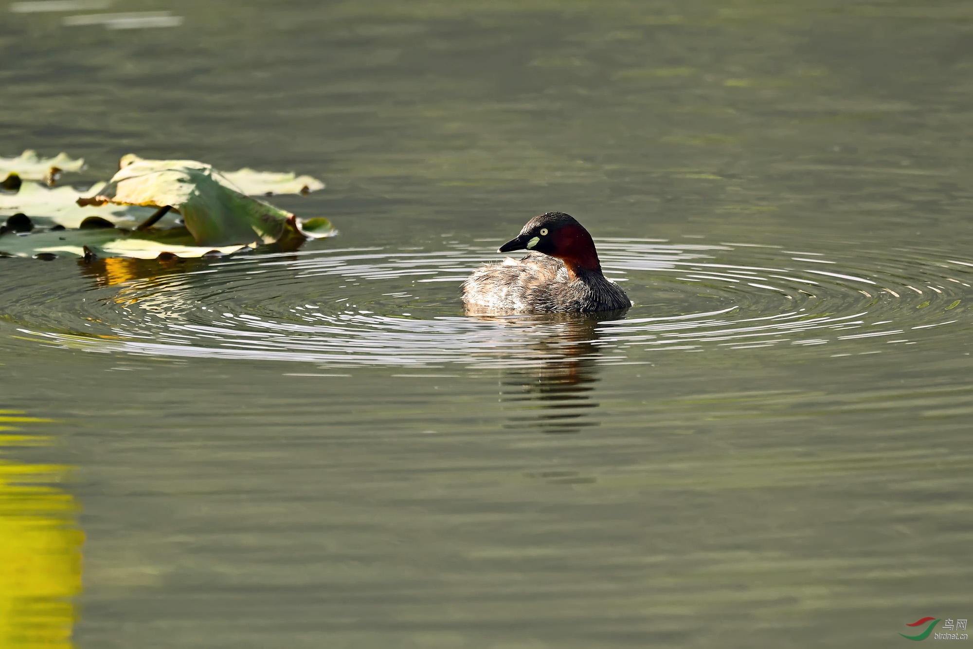 DSC_9025.jpg