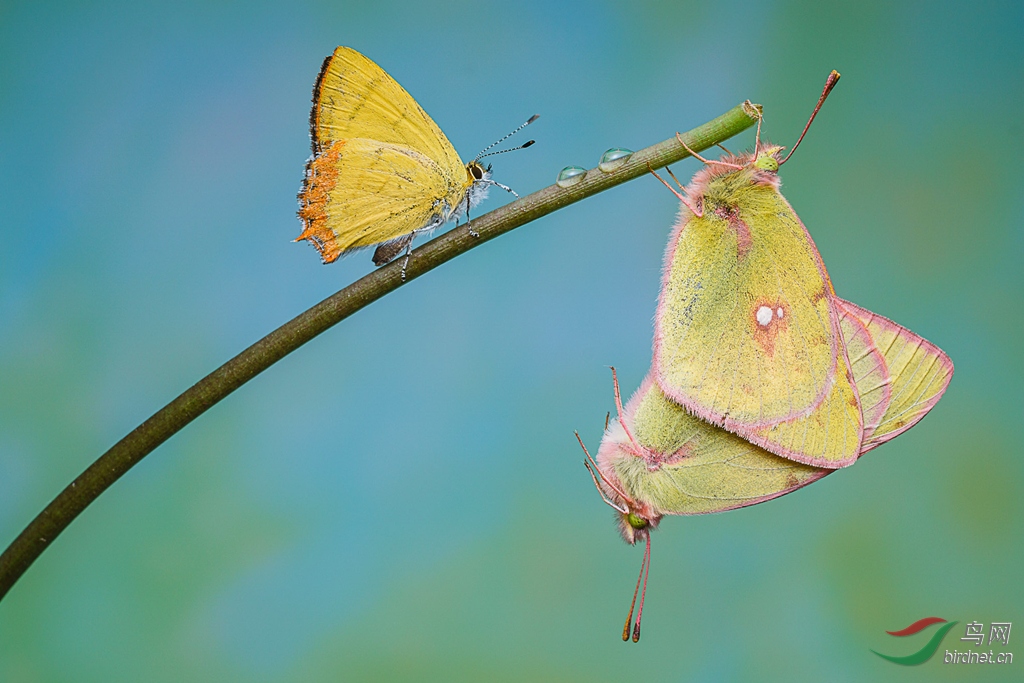 δ����-06273.jpg