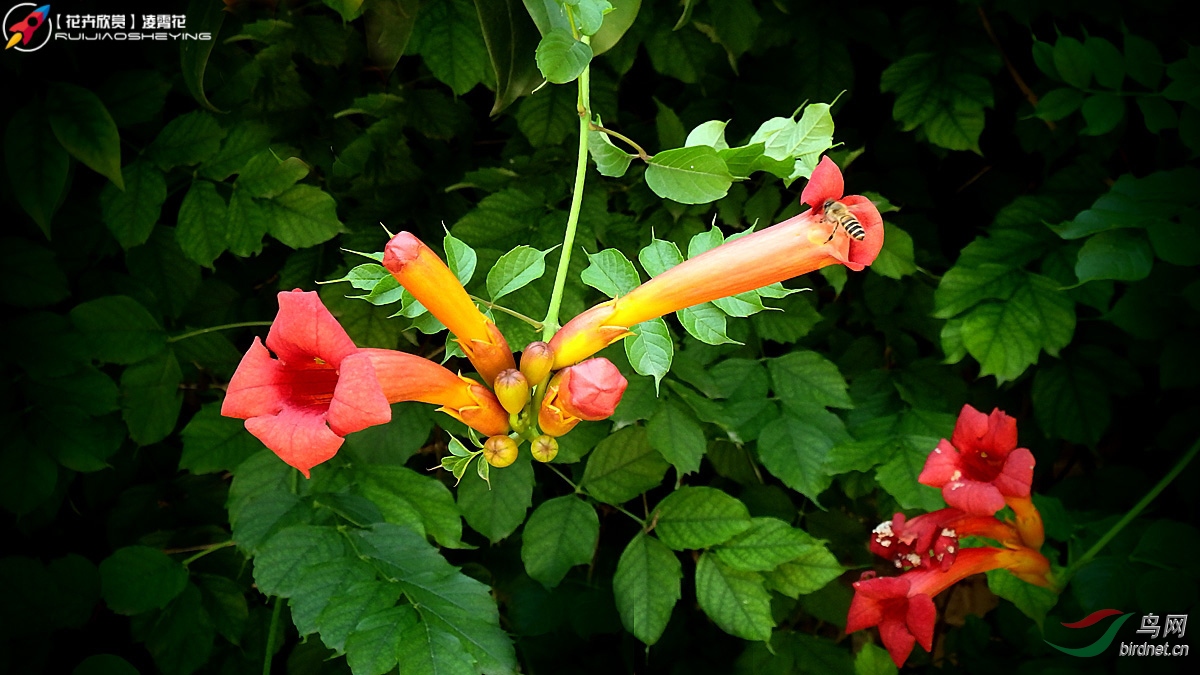 P6102342.jpg