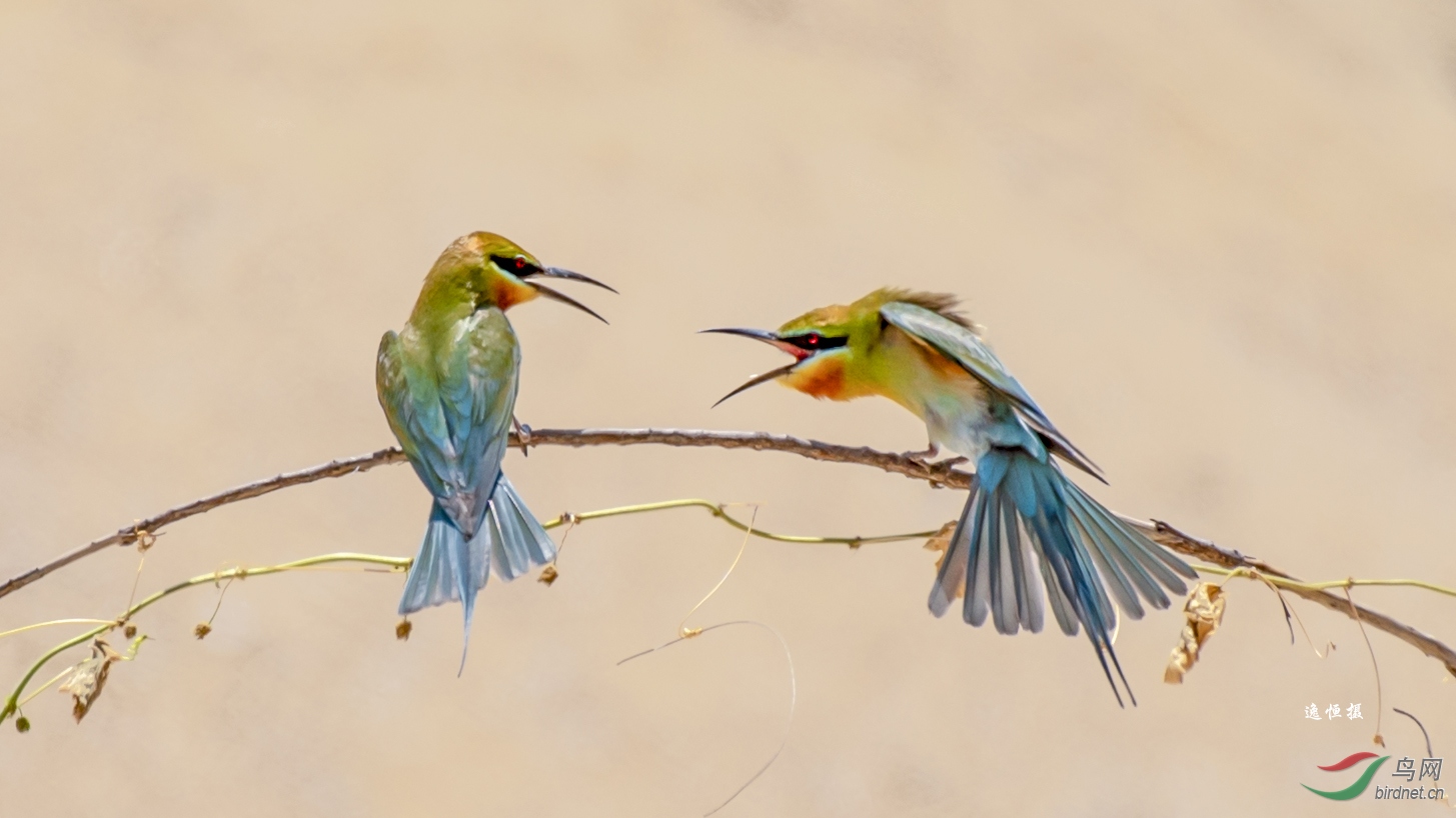 DSC_9651.jpg