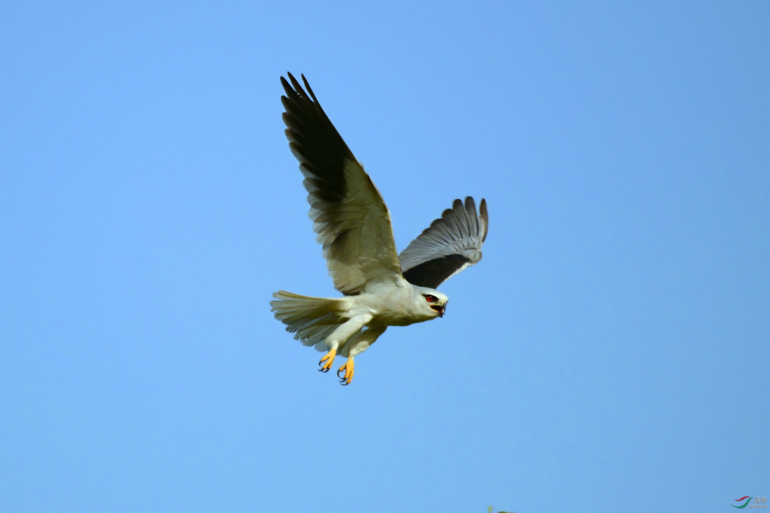 DSC_2640.JPG