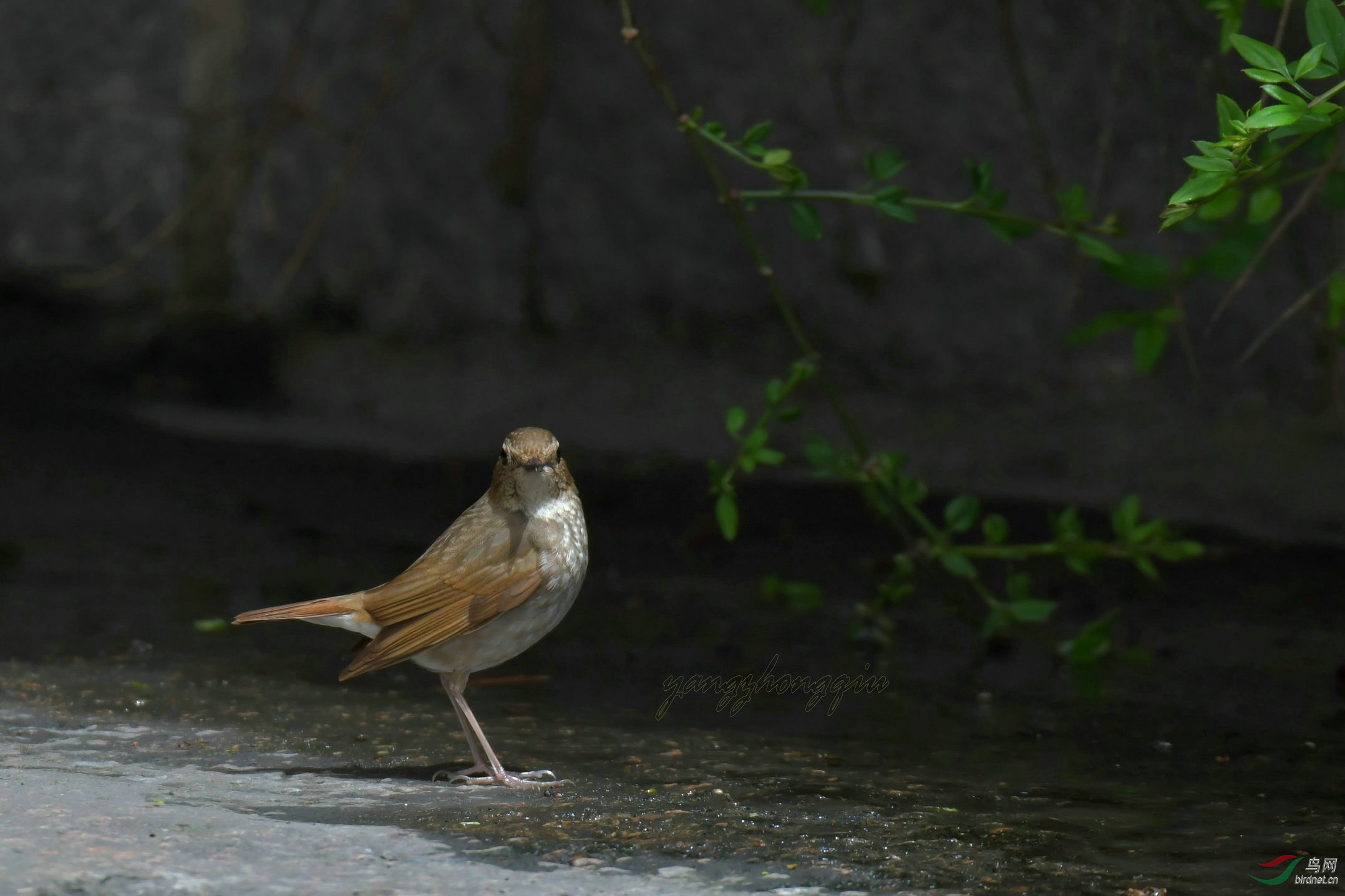 DSC_7360_����.jpg