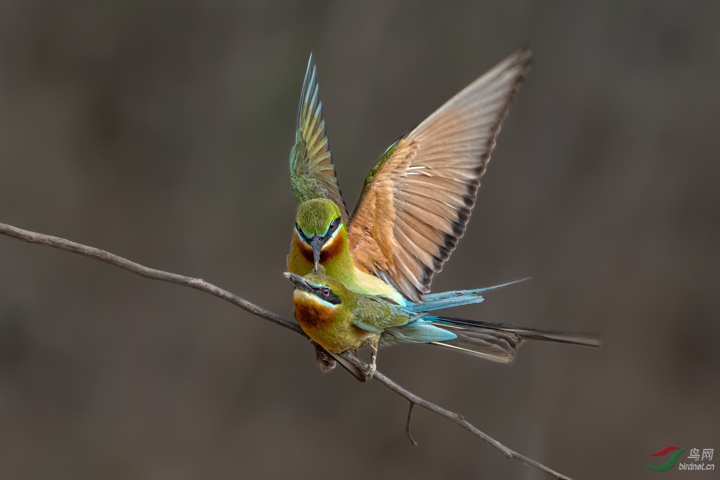 DSC_3458.jpg