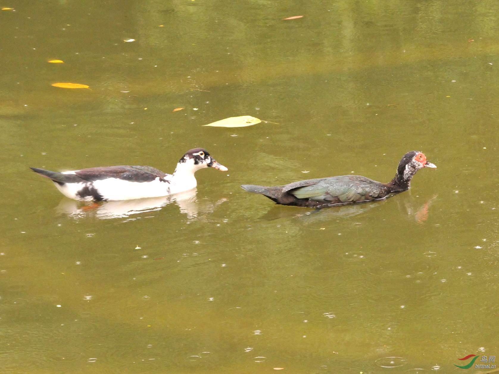 ��Ƭ 1014_����.jpg