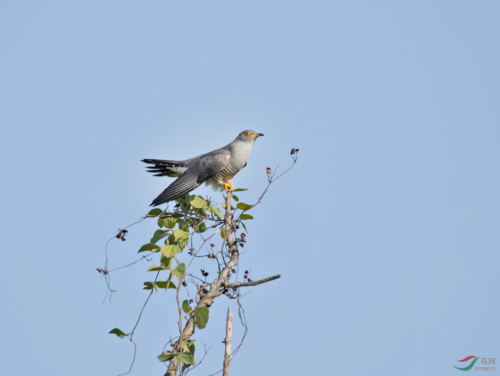 _SC_5568.jpg