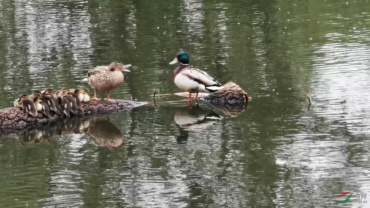 VID_20200518_093404 00_00_00-00_00_05_Moment-05.jpg