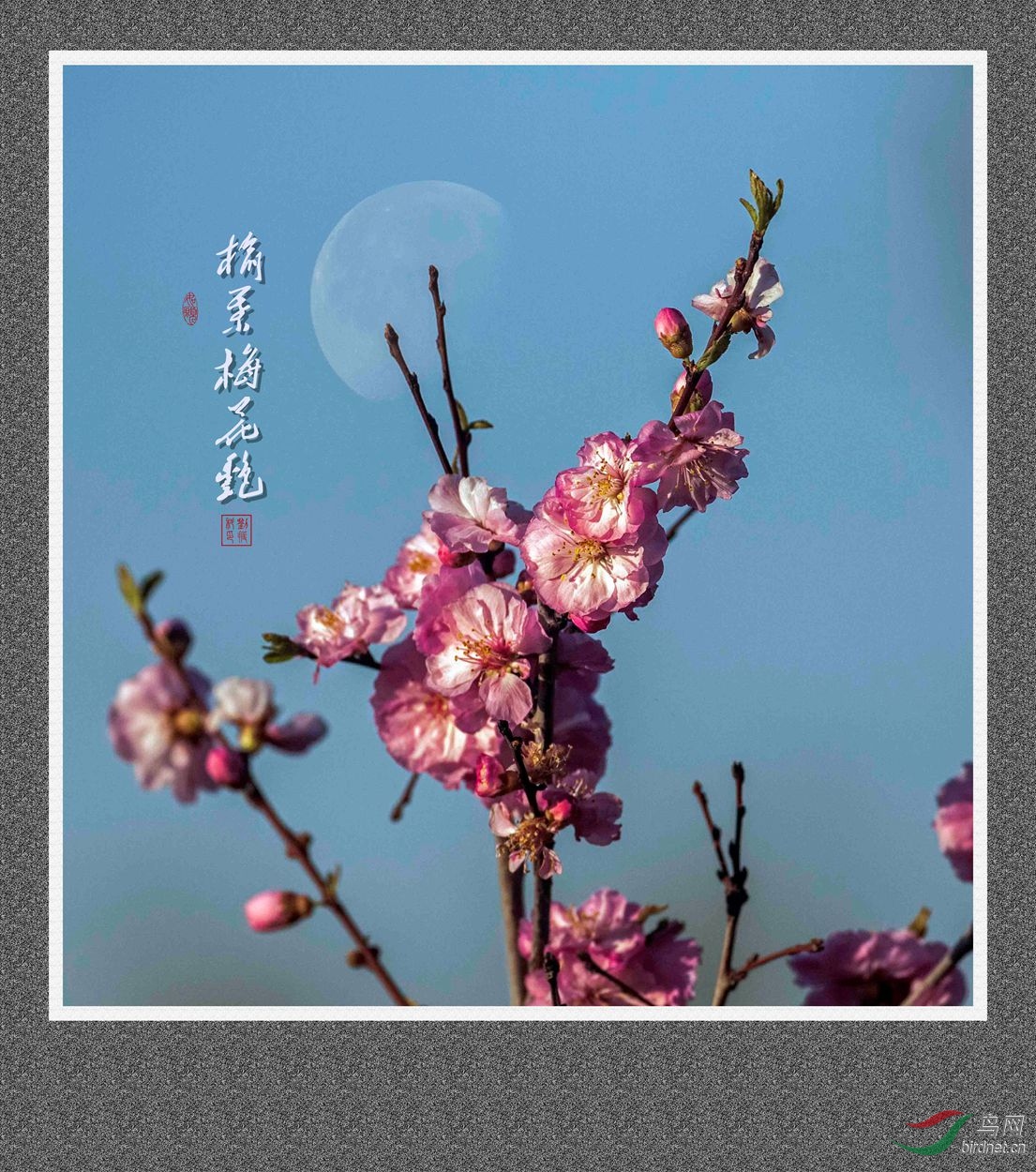 1Q7A8161_����_����.jpg