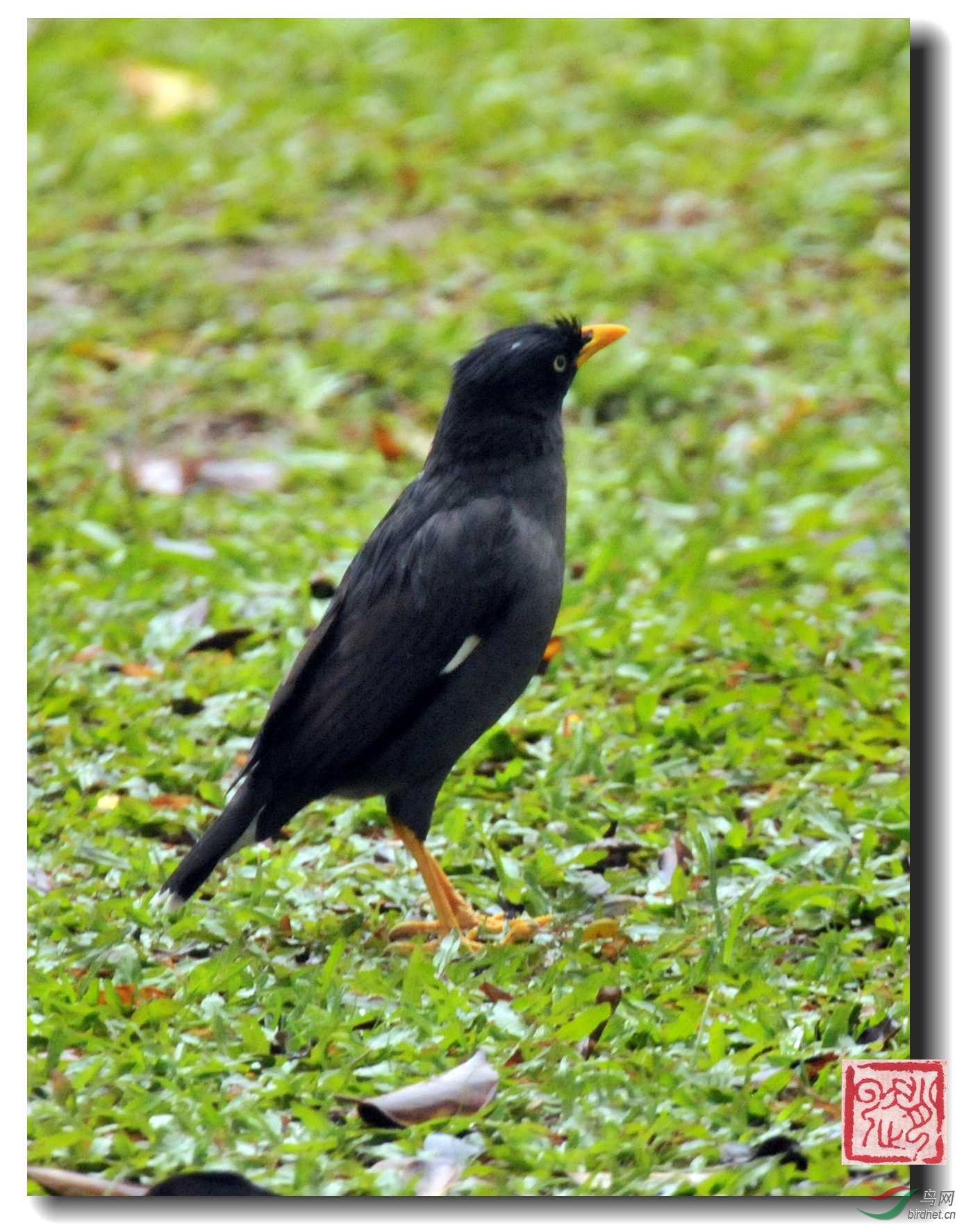 照片 728_副本_副本.jpg