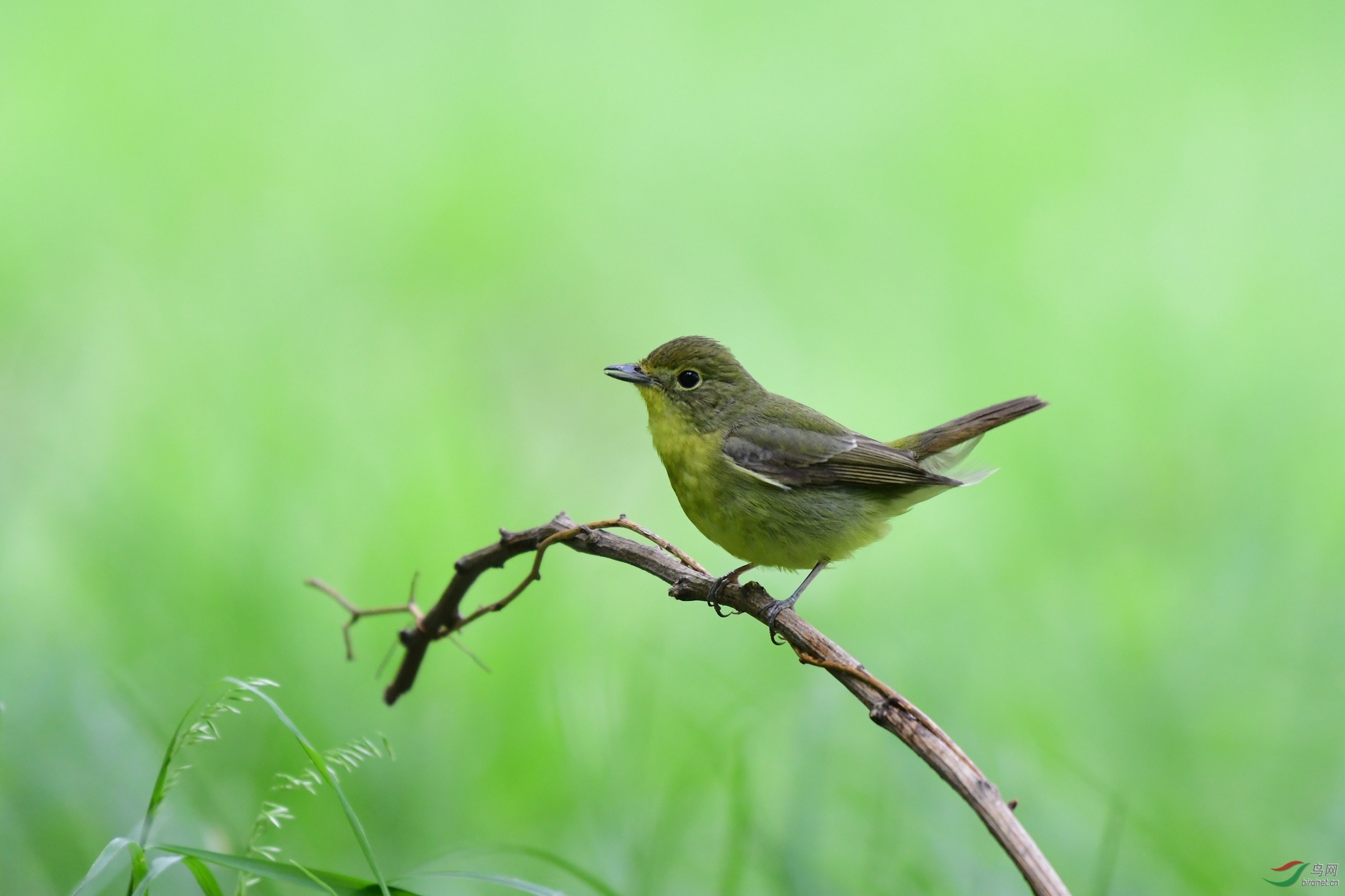 DSC_9222.JPG
