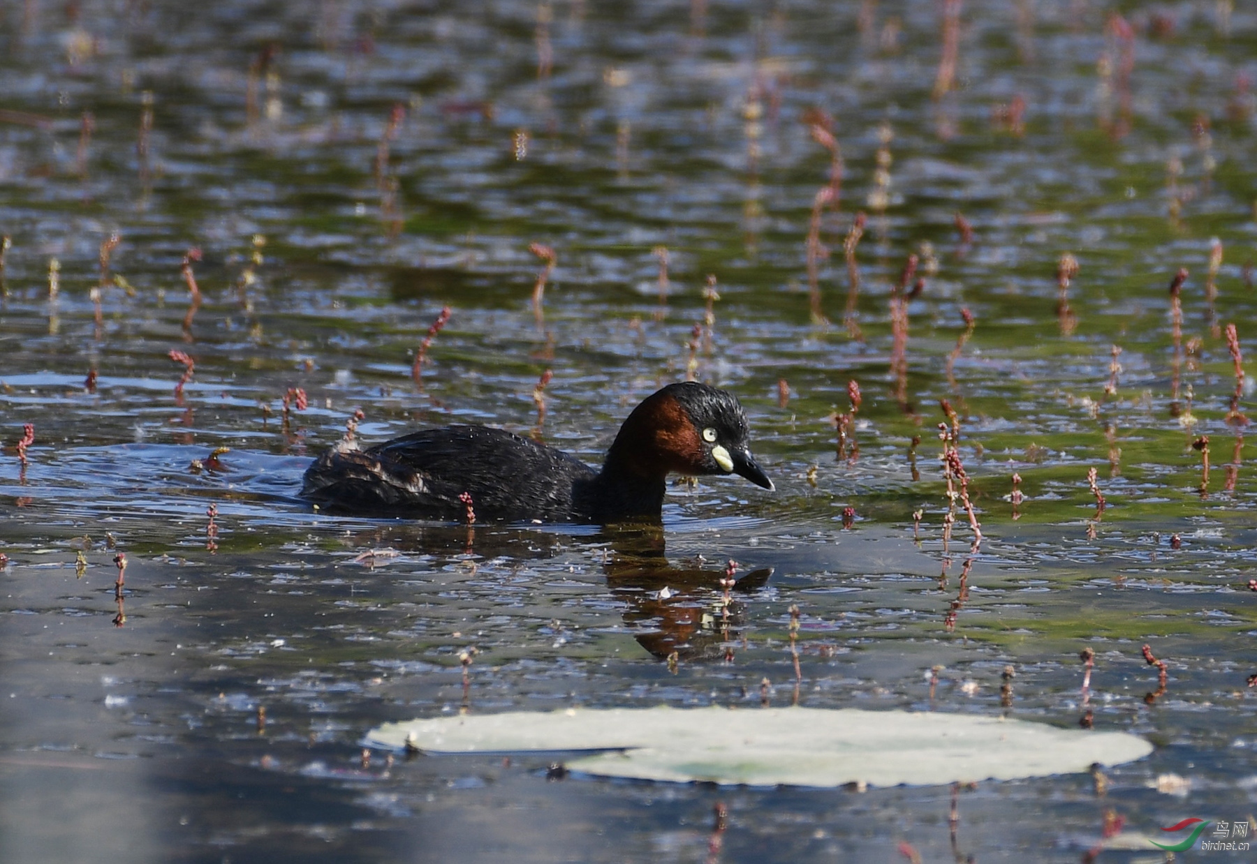 ������Ӱ 3691����.jpg