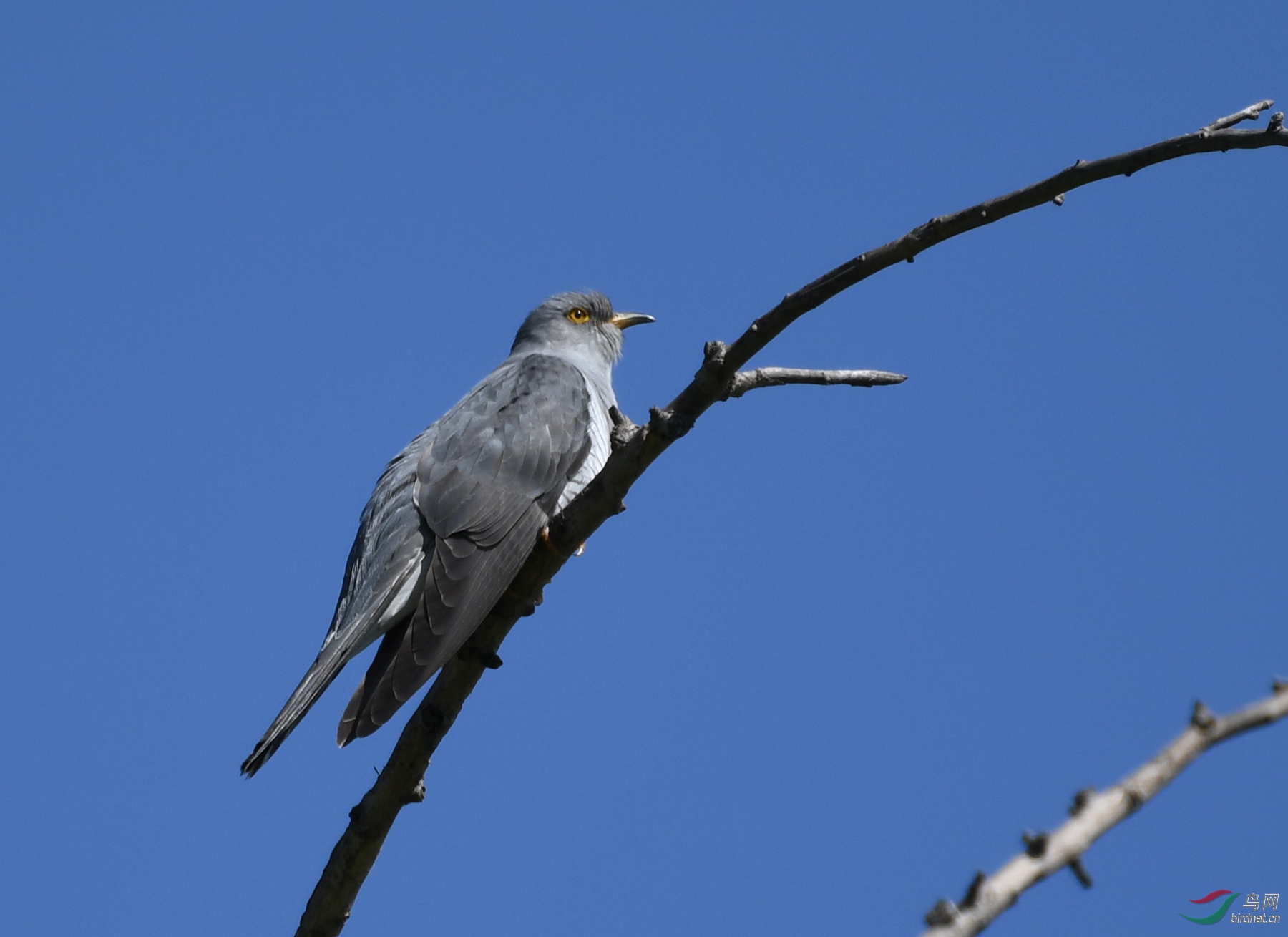 ������Ӱ 3754����.jpg