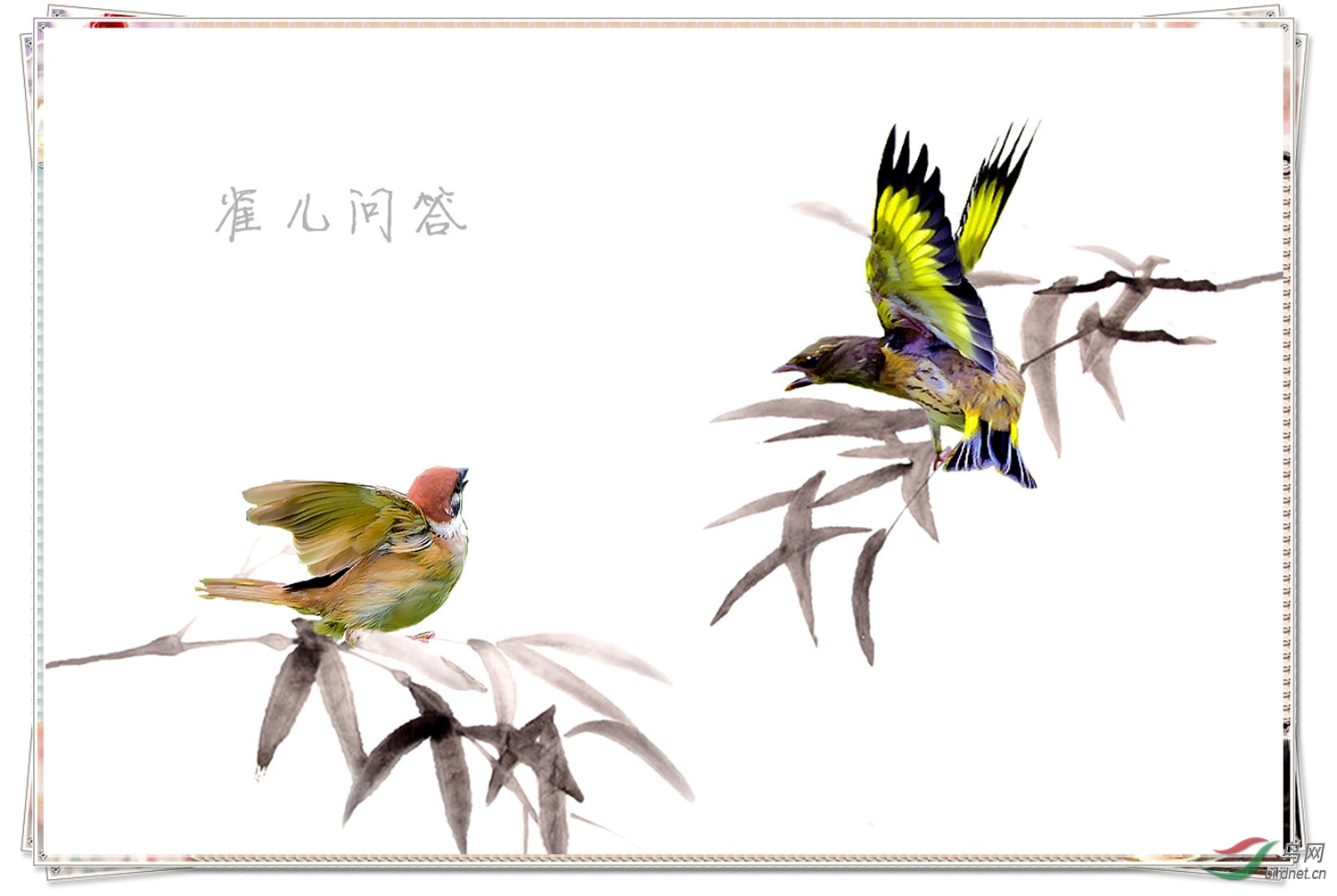 southeast (1)_����_����.jpg