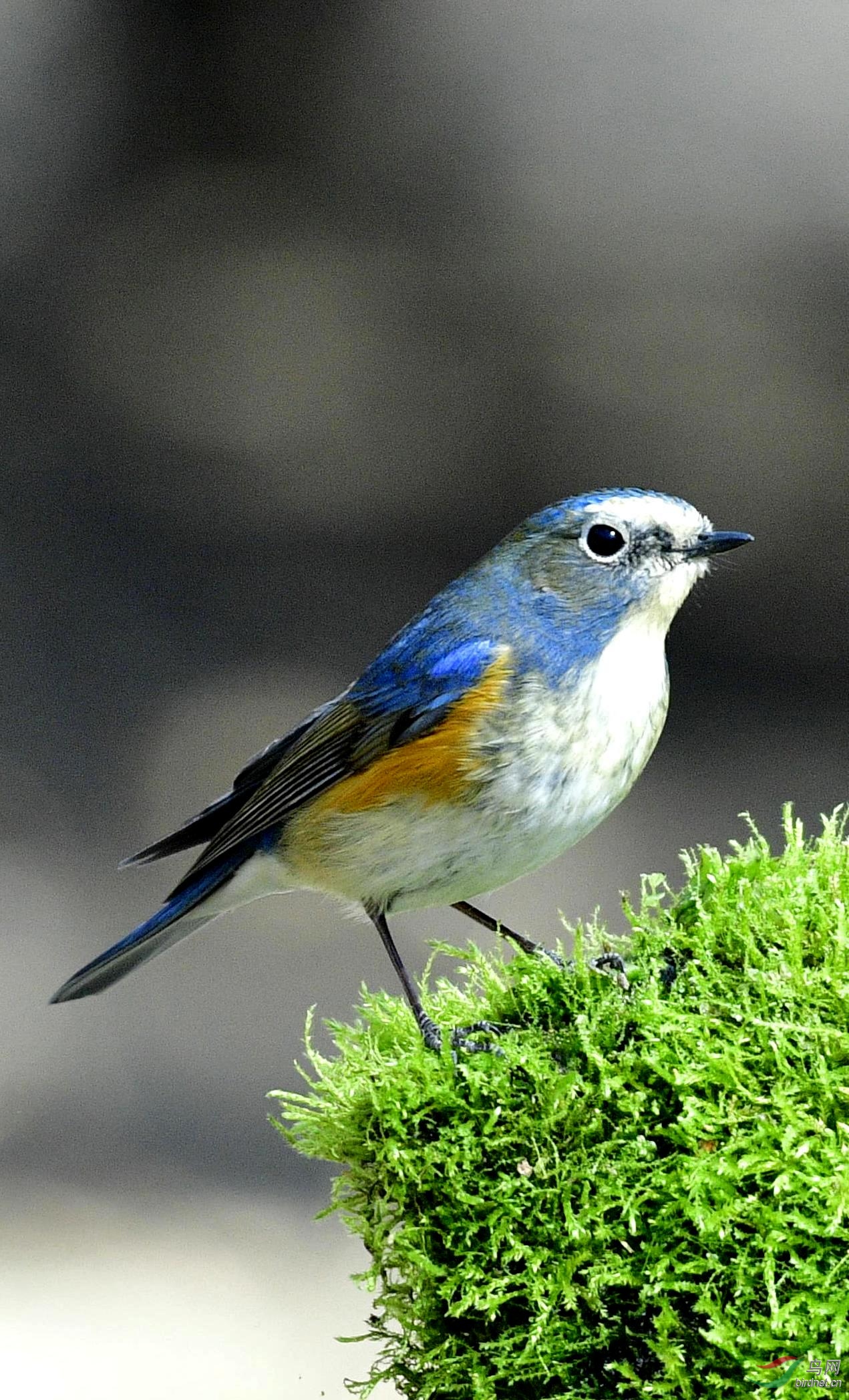 _DSC1201_���� (2).jpg