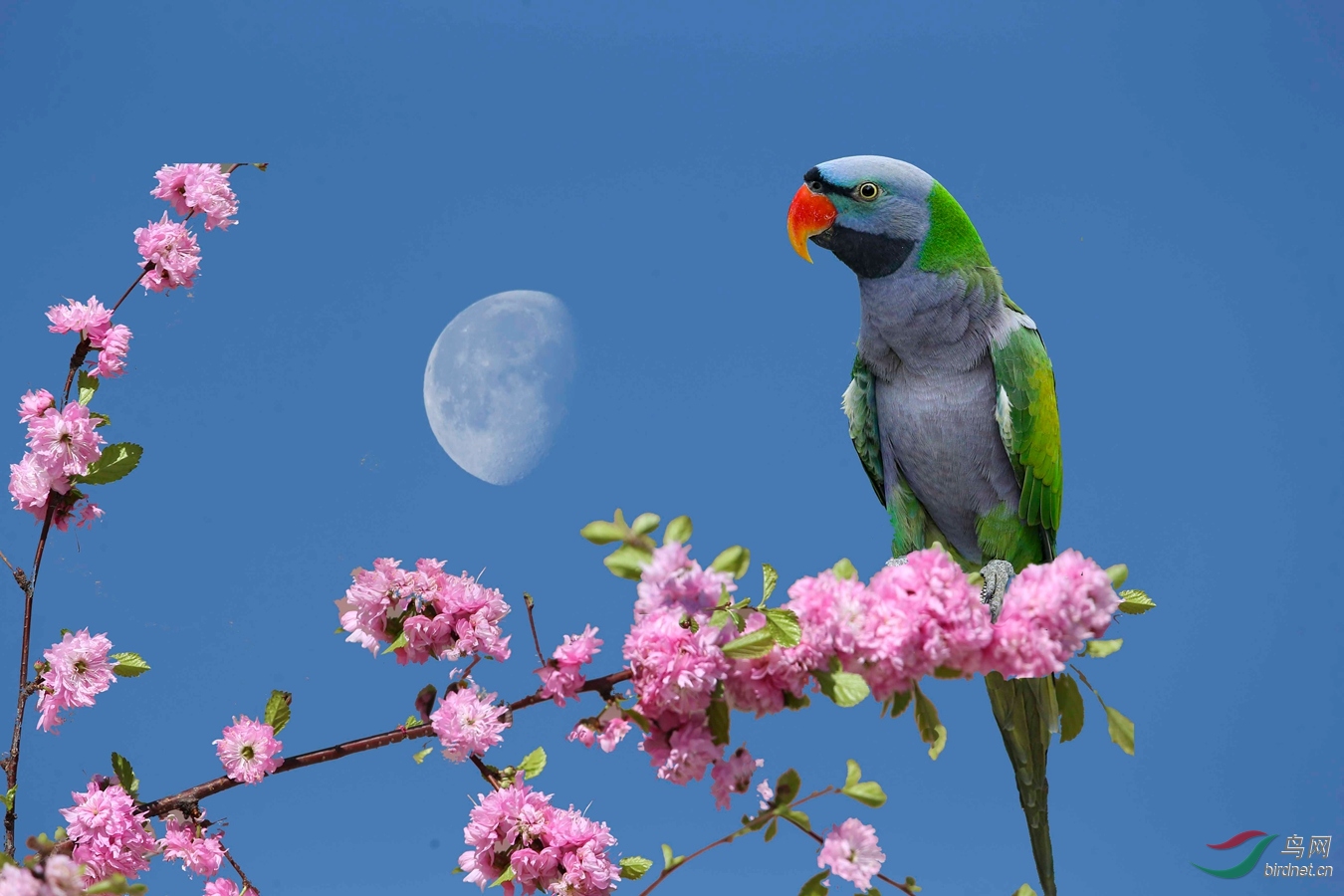 BE7W6646 - ����.JPG